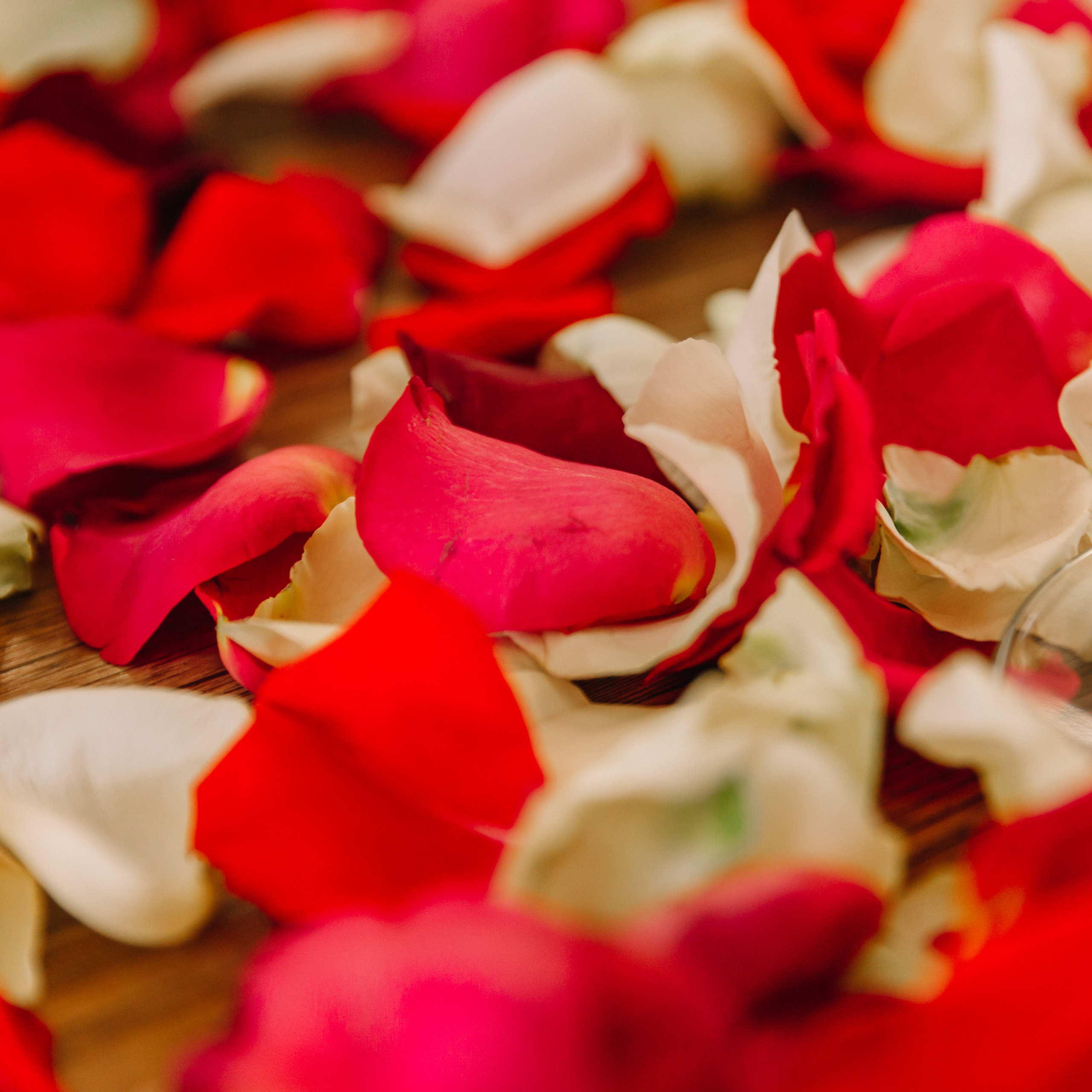 Отзывы. Фотограф  г. Набережные Челны, Татарстан — Айгуль Зарипова