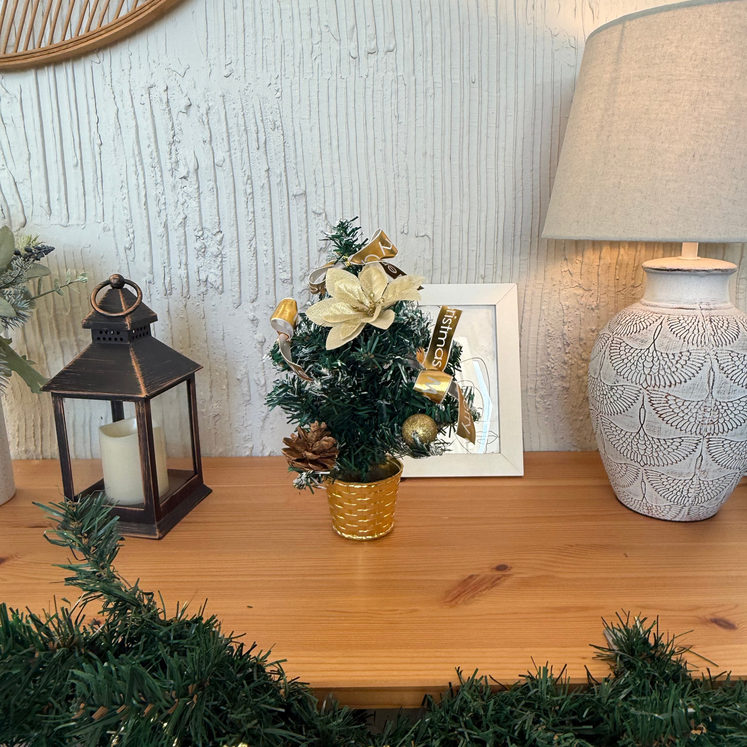 Инфо. Фотограф  г. Набережные Челны, Татарстан — Айгуль Зарипова