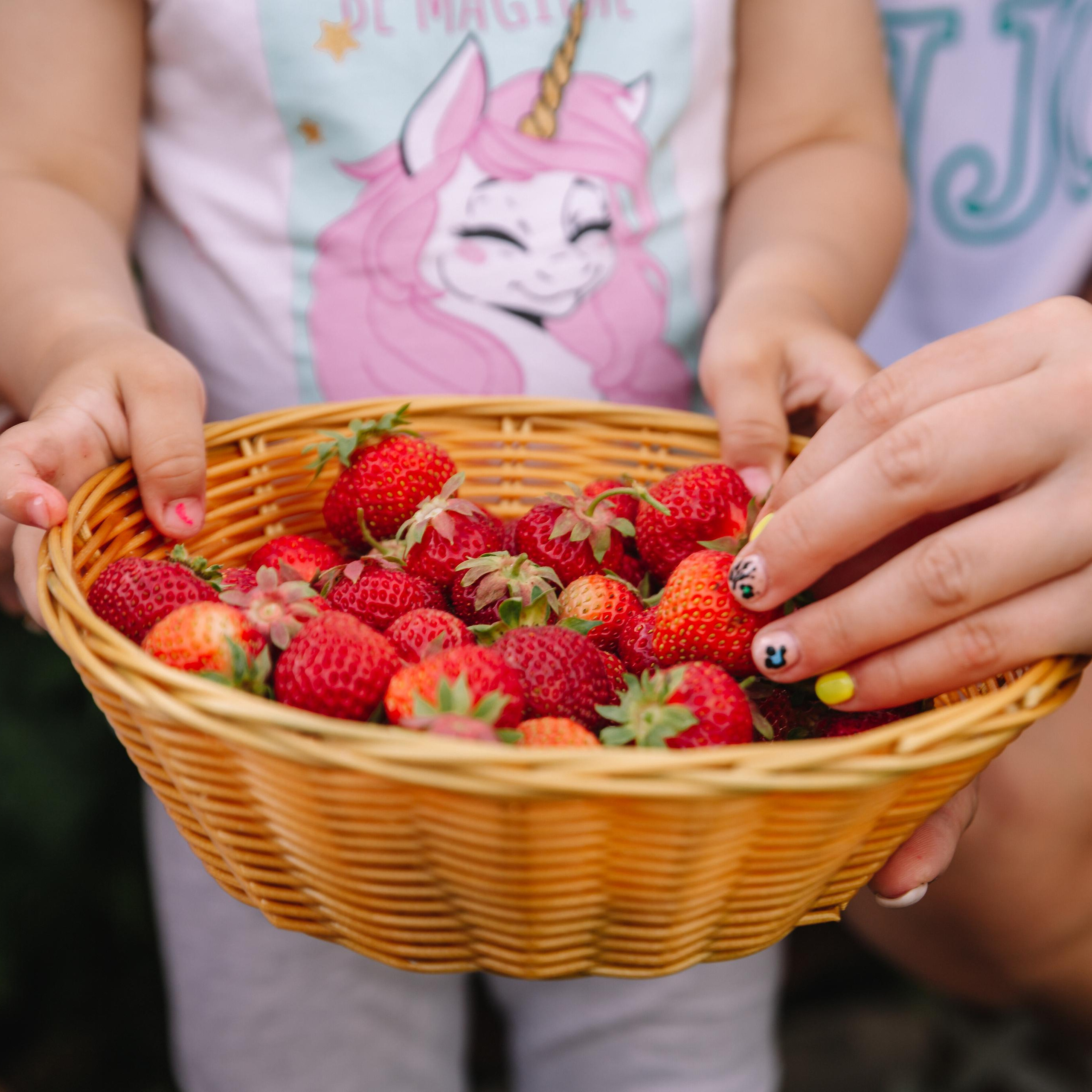 Отзывы. Фотограф  г. Набережные Челны, Татарстан — Айгуль Зарипова