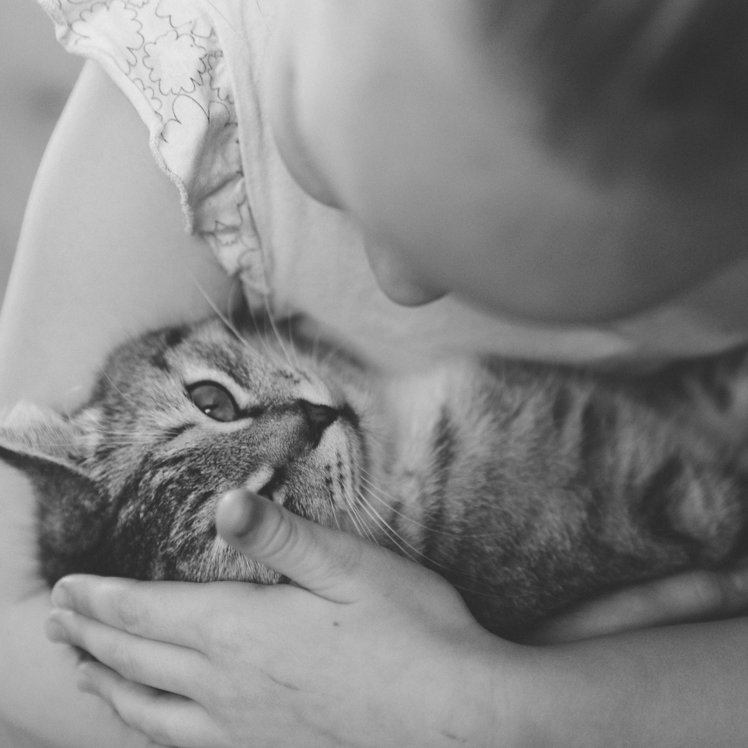 Дети в кадре. Фотограф  г. Набережные Челны, Татарстан — Айгуль Зарипова