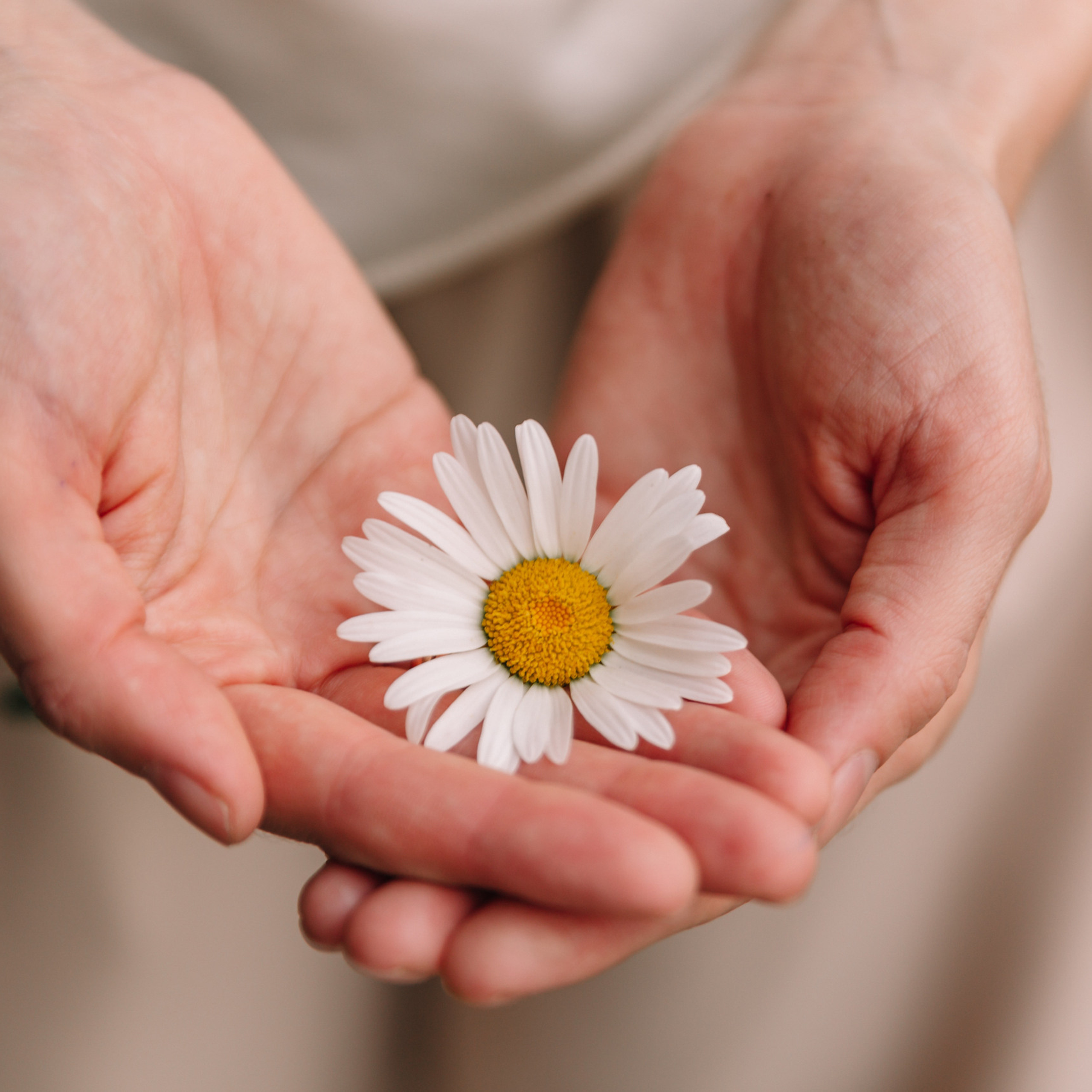 Семья. Фотограф  г. Набережные Челны, Татарстан — Айгуль Зарипова