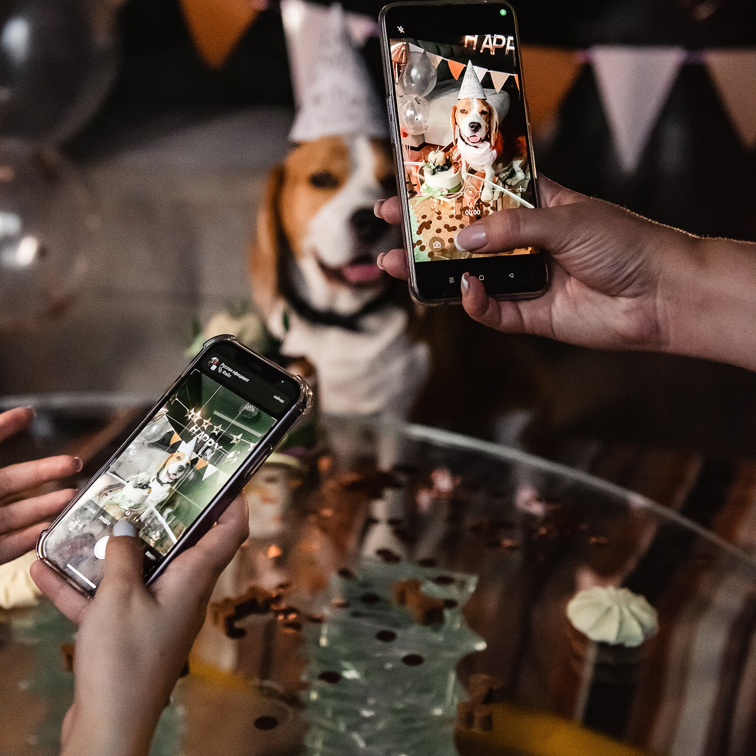 День рождение Дарси