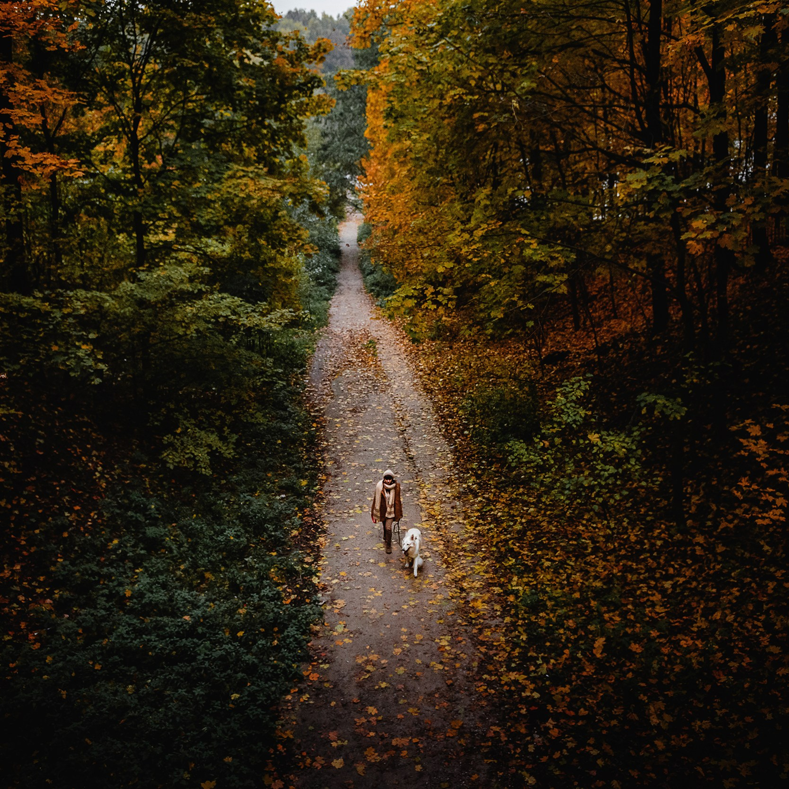 Катя и&nbsp;Джек