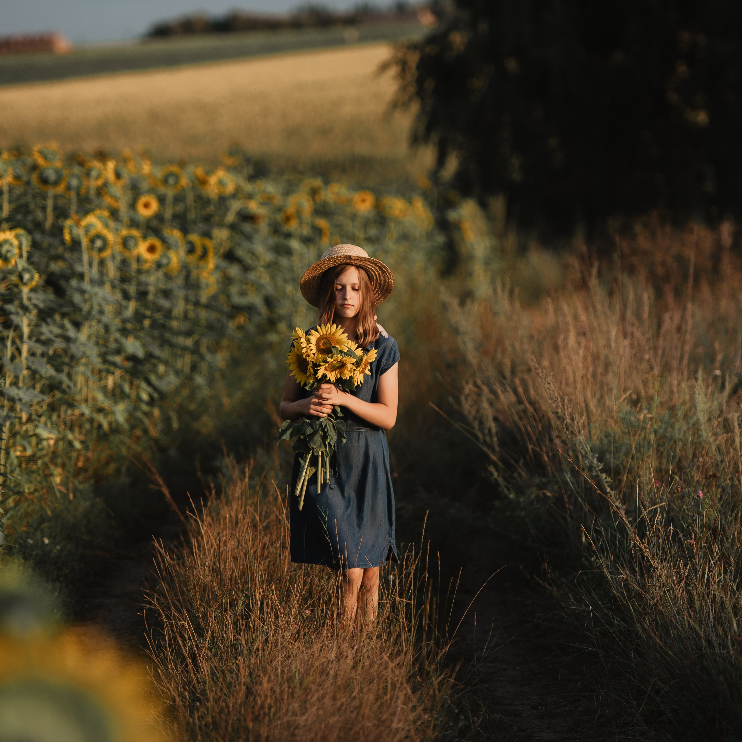 Прогулка в&nbsp;подсолнухах