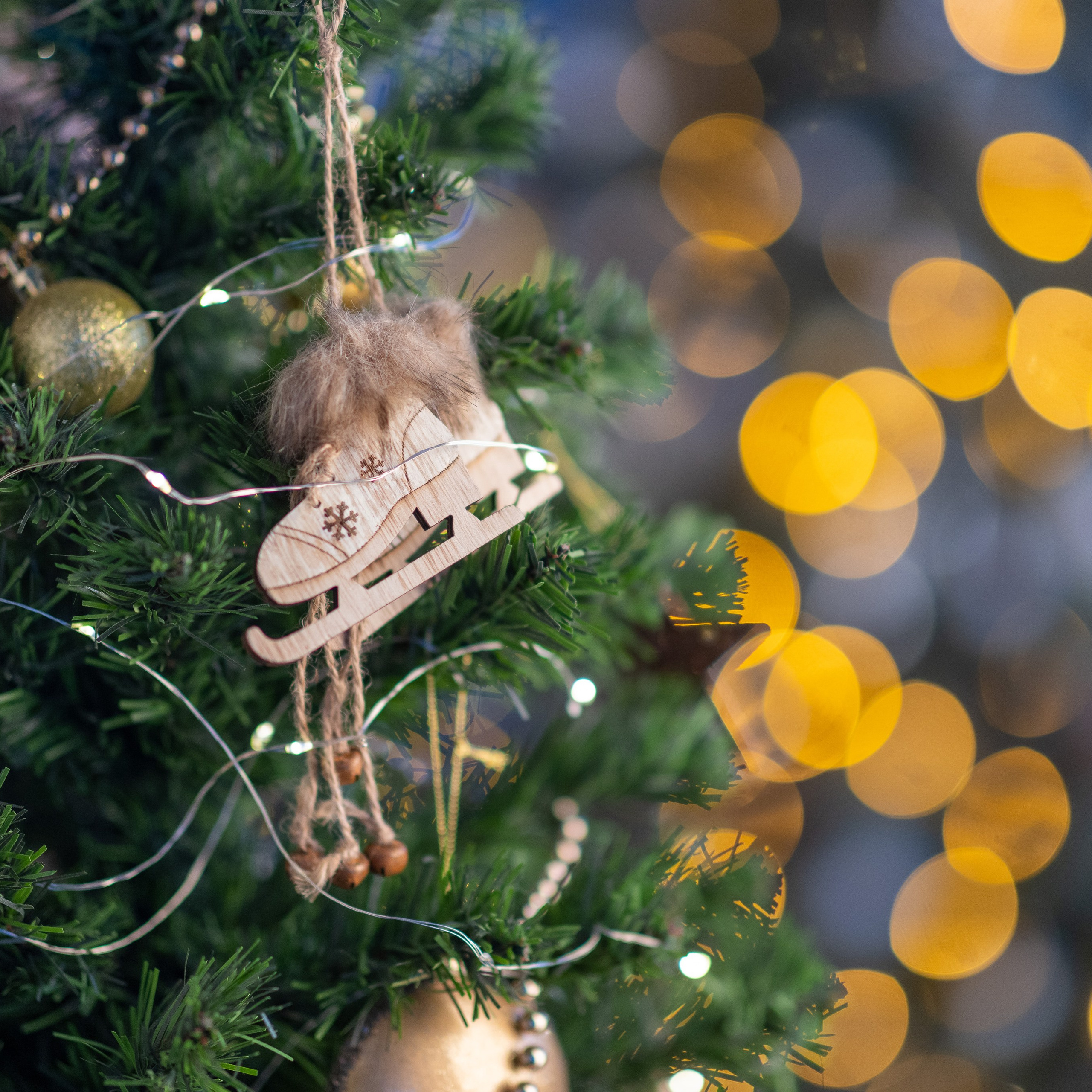 Фотограф — Евгений Свистков. Фотограф — Евгений Свистков