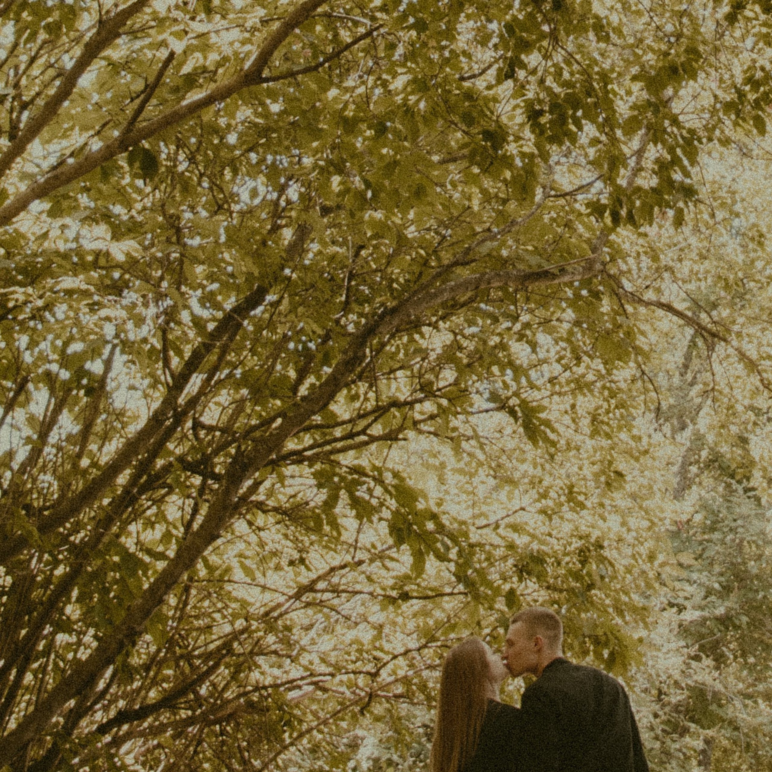 GRISHA & ANYA