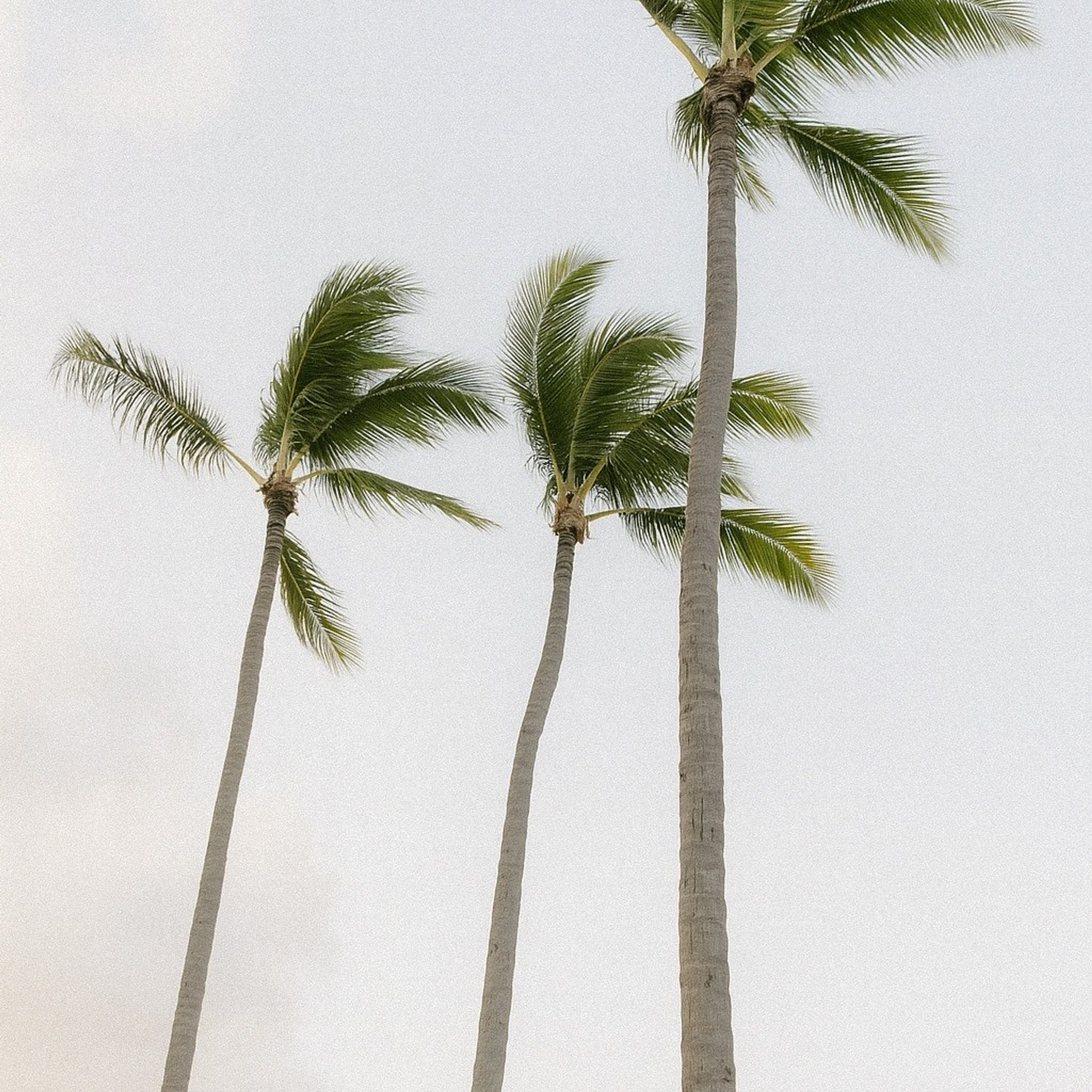 генерация фото товара нейросетью предметная съёмка без фотостудии визуал товара через искусственный интеллект ии генерация изображений для маркетплейса создание фото товара без съёмки визуализация продукта нейросетью контент для wildberries без фотосессии фото товара от нейросети онлайн генерация карточки товара с помощью ии нейросеть для предметной фотографии автоматическая генерация фото продукта визуал товара без камеры и фотографа предметная фотография через ии создание изображений товара нейросетью фото для озон и вайлдберриз без студии ИИ фото товаров для интернет-магазина нейросеть создает фото по описанию генерация изображений без ретуши реалистичный визуал товара от ии высококачественное фото товара нейросетью чат gpt миджорни предметная фотосессия предметный фотограф