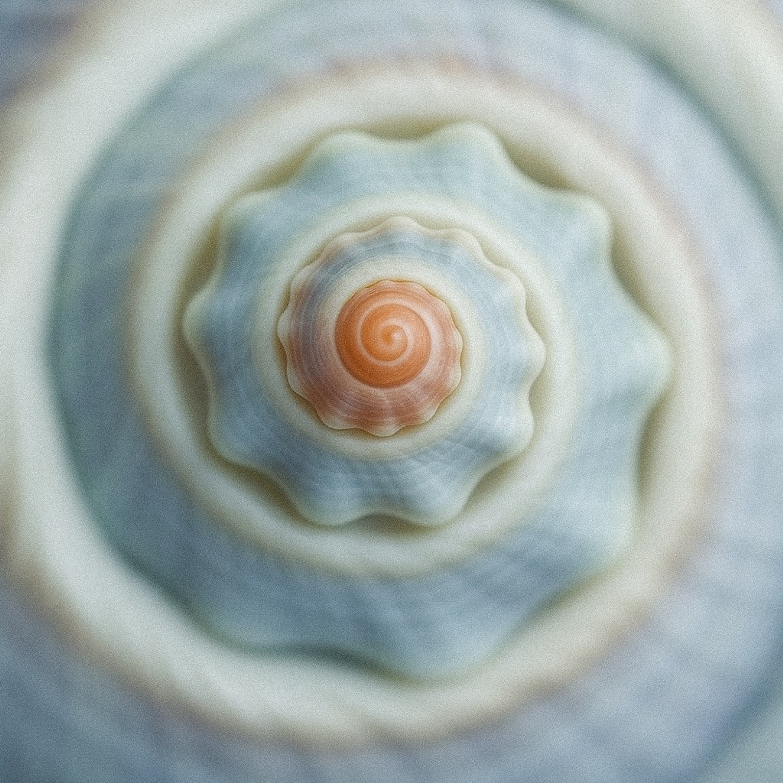 генерация фото товара нейросетью предметная съёмка без фотостудии визуал товара через искусственный интеллект ии генерация изображений для маркетплейса создание фото товара без съёмки визуализация продукта нейросетью контент для wildberries без фотосессии фото товара от нейросети онлайн генерация карточки товара с помощью ии нейросеть для предметной фотографии автоматическая генерация фото продукта визуал товара без камеры и фотографа предметная фотография через ии создание изображений товара нейросетью фото для озон и вайлдберриз без студии ИИ фото товаров для интернет-магазина нейросеть создает фото по описанию генерация изображений без ретуши реалистичный визуал товара от ии высококачественное фото товара нейросетью чат gpt миджорни предметная фотосессия предметный фотограф