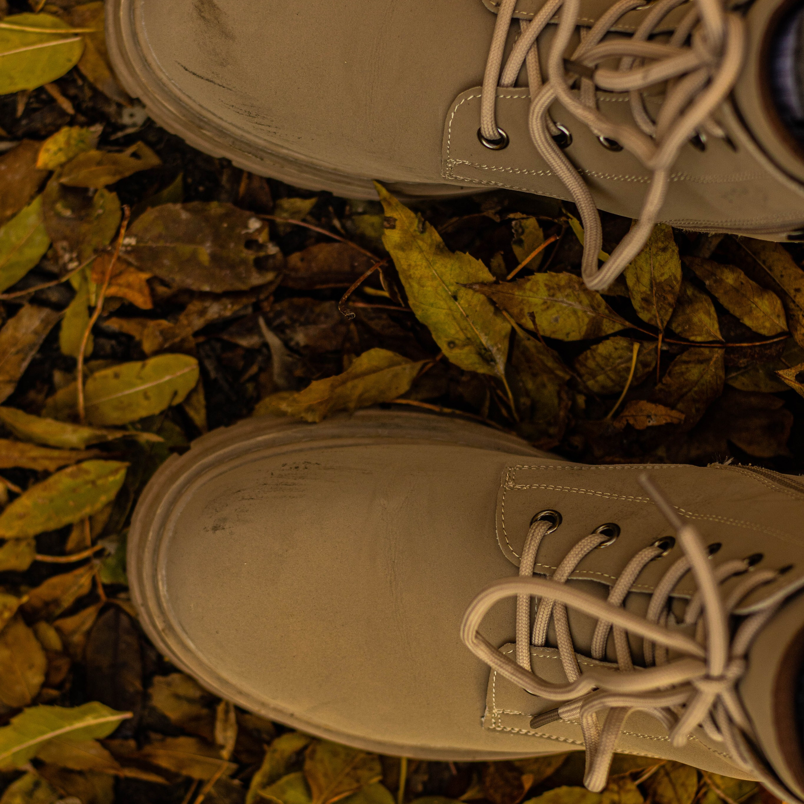 «Тепло осени: уютные кадры с природой»