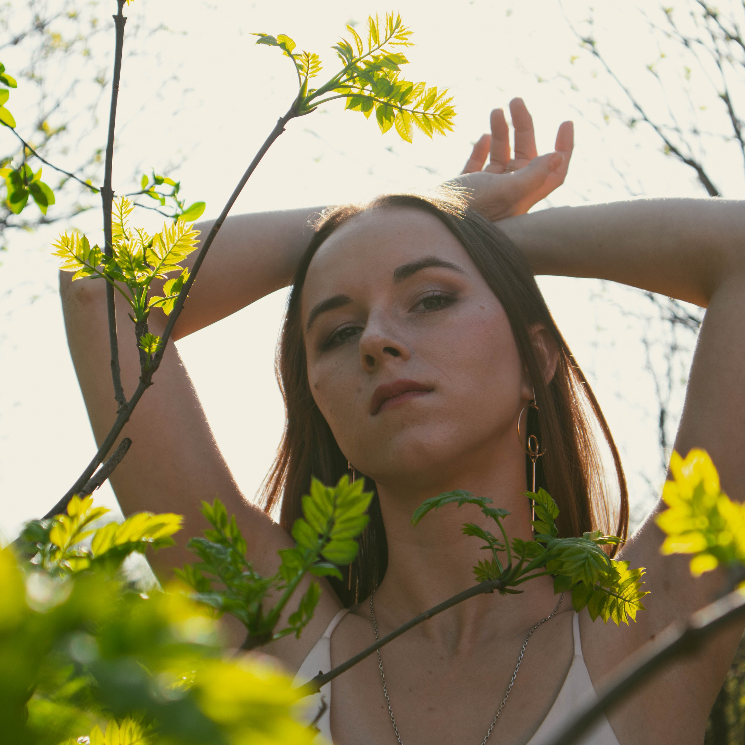 «Деревья шепчут, горы молчат»