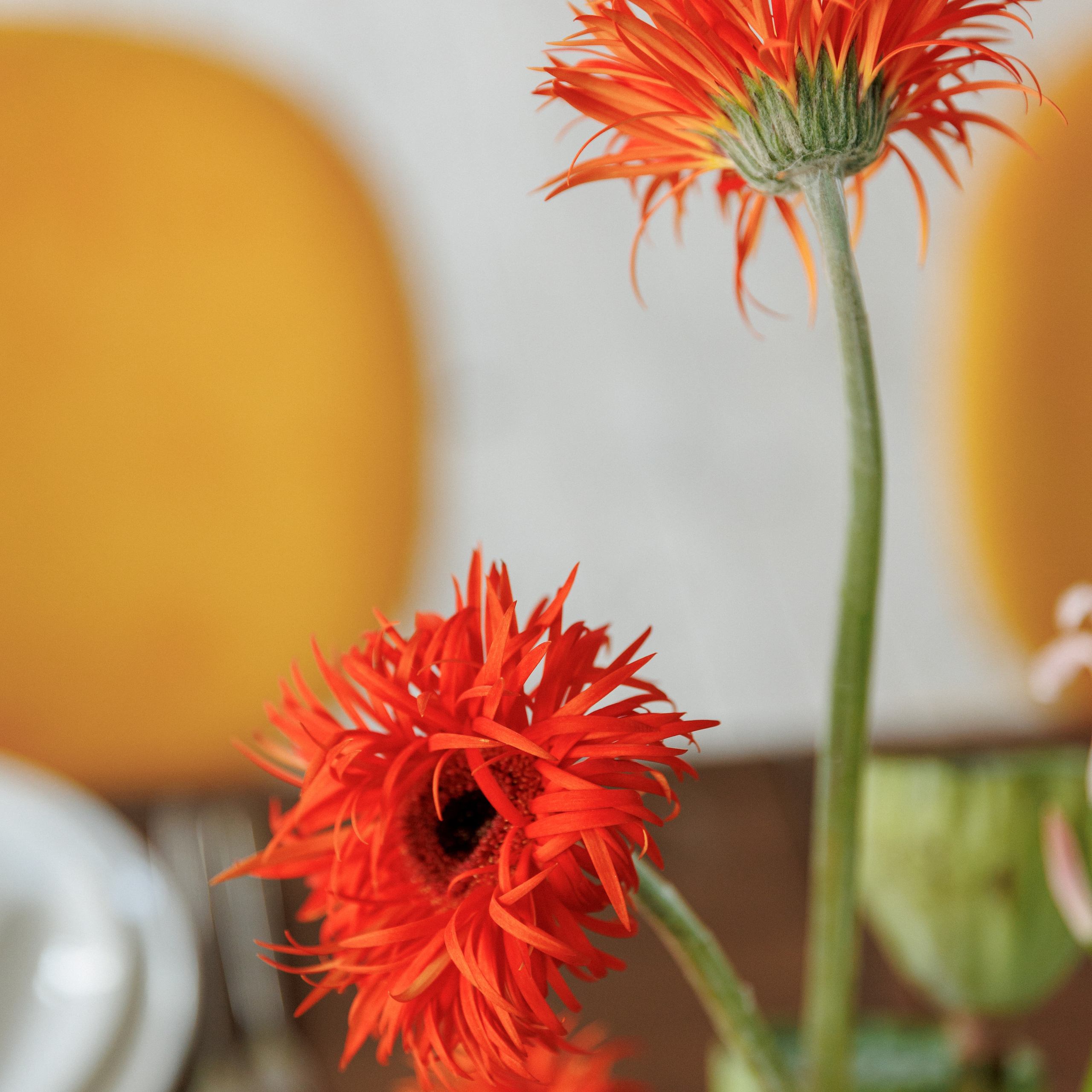 Анонс Wedding day N&P. Свадебный фотограф Колесников Антон