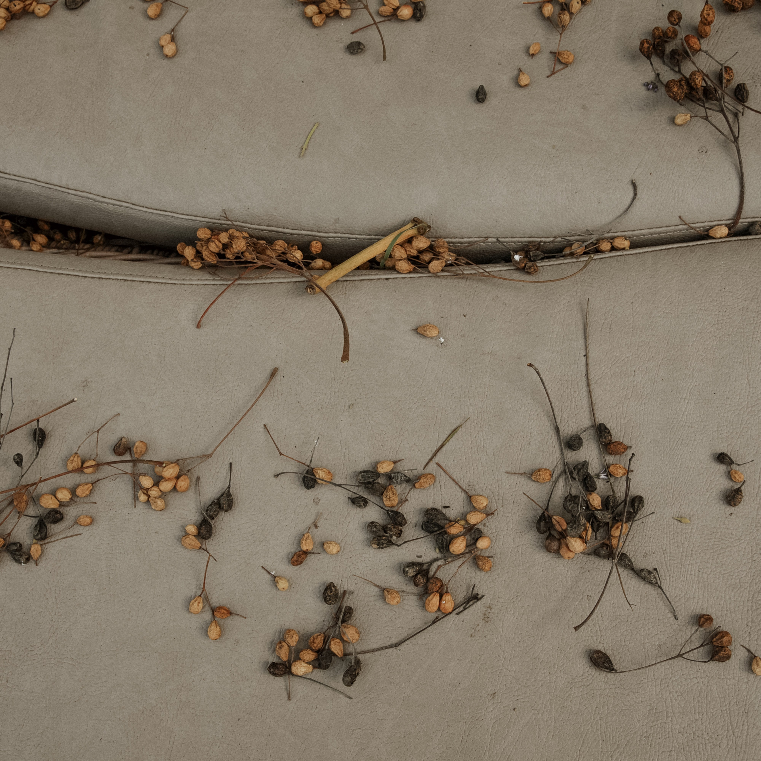 Там где нас не будут искать. Свадебный фотограф Колесников Антон