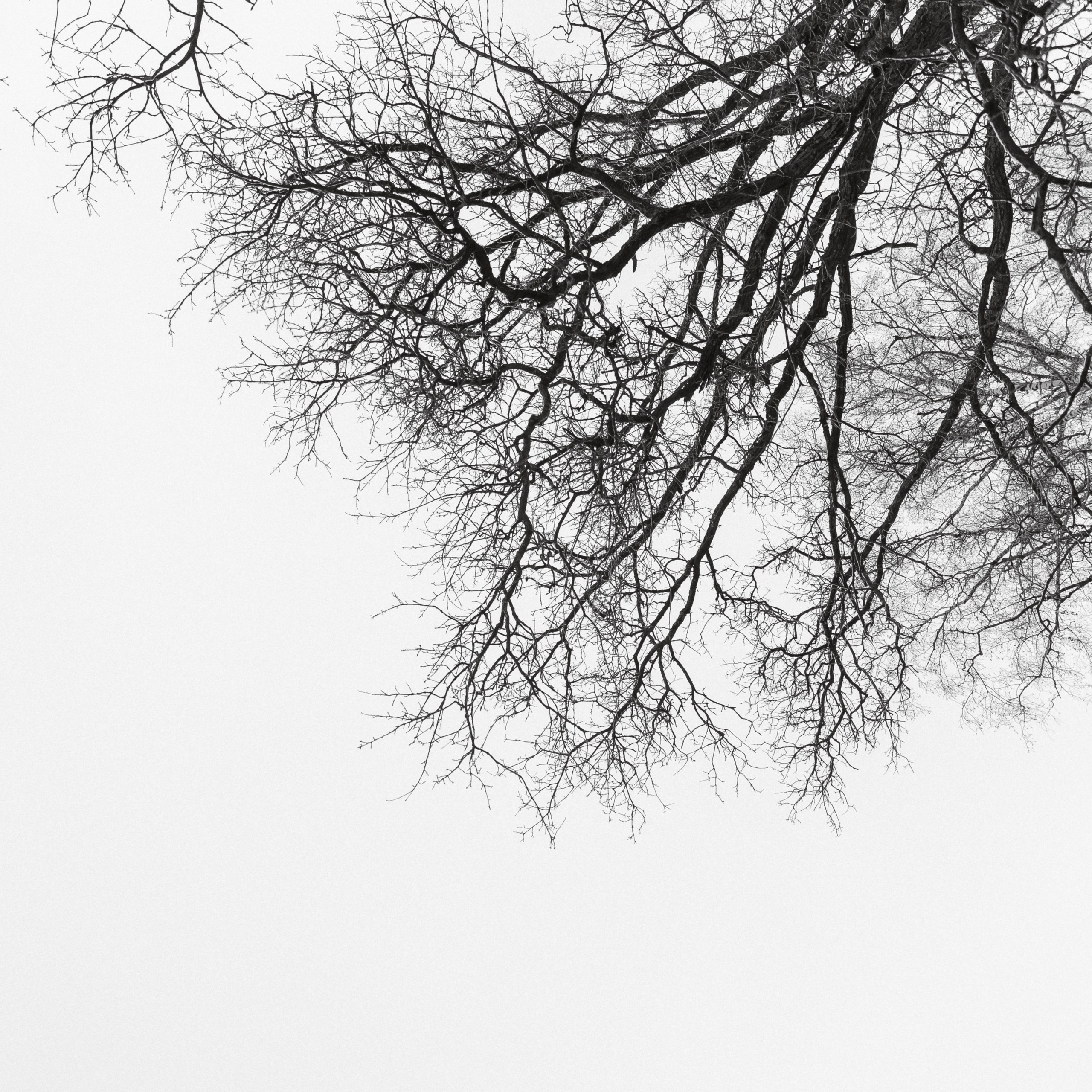 Вечеринка для невест 2025. Свадебный фотограф Колесников Антон