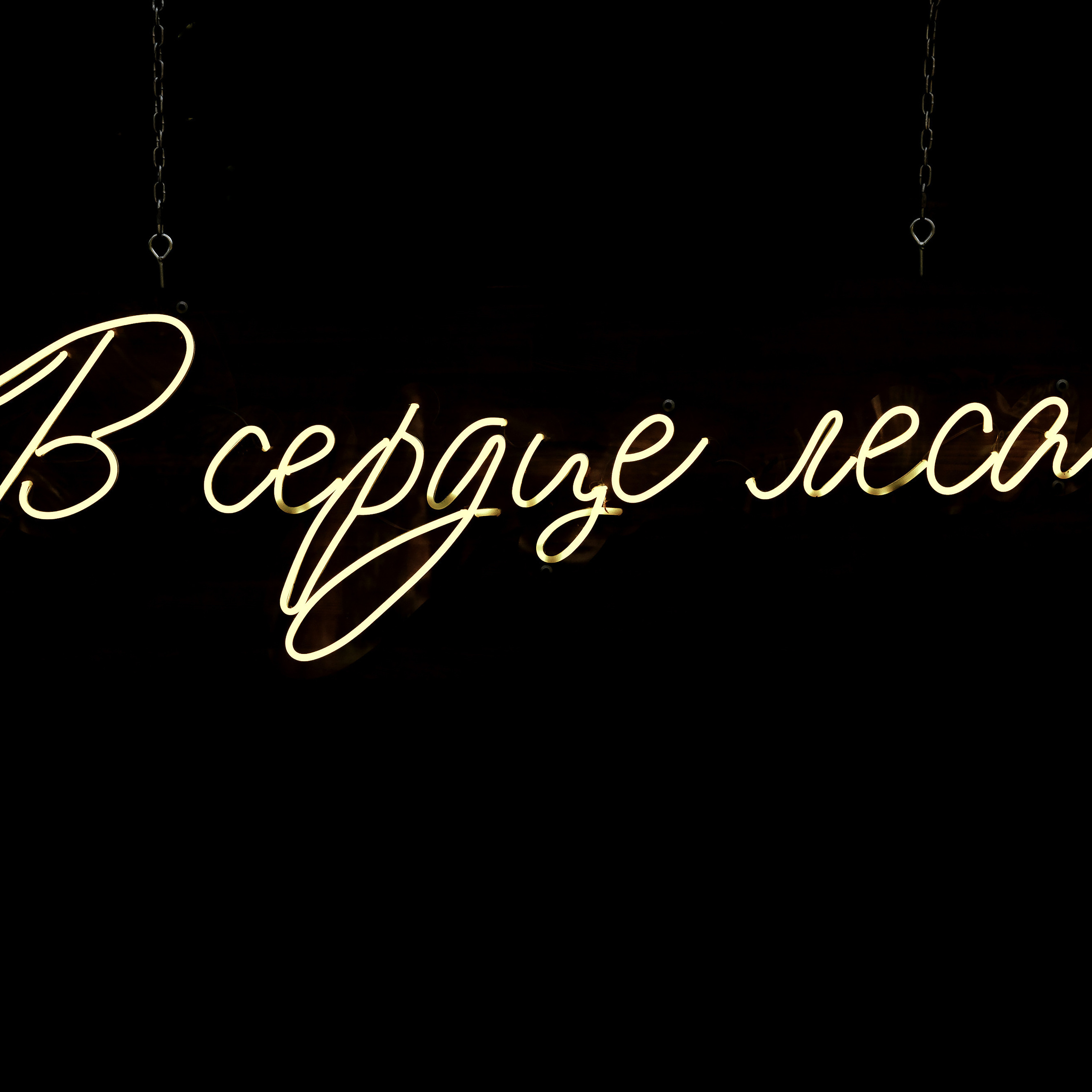 Калуга фотограф на свадьбу. Свадебный фотограф Колесников Антон