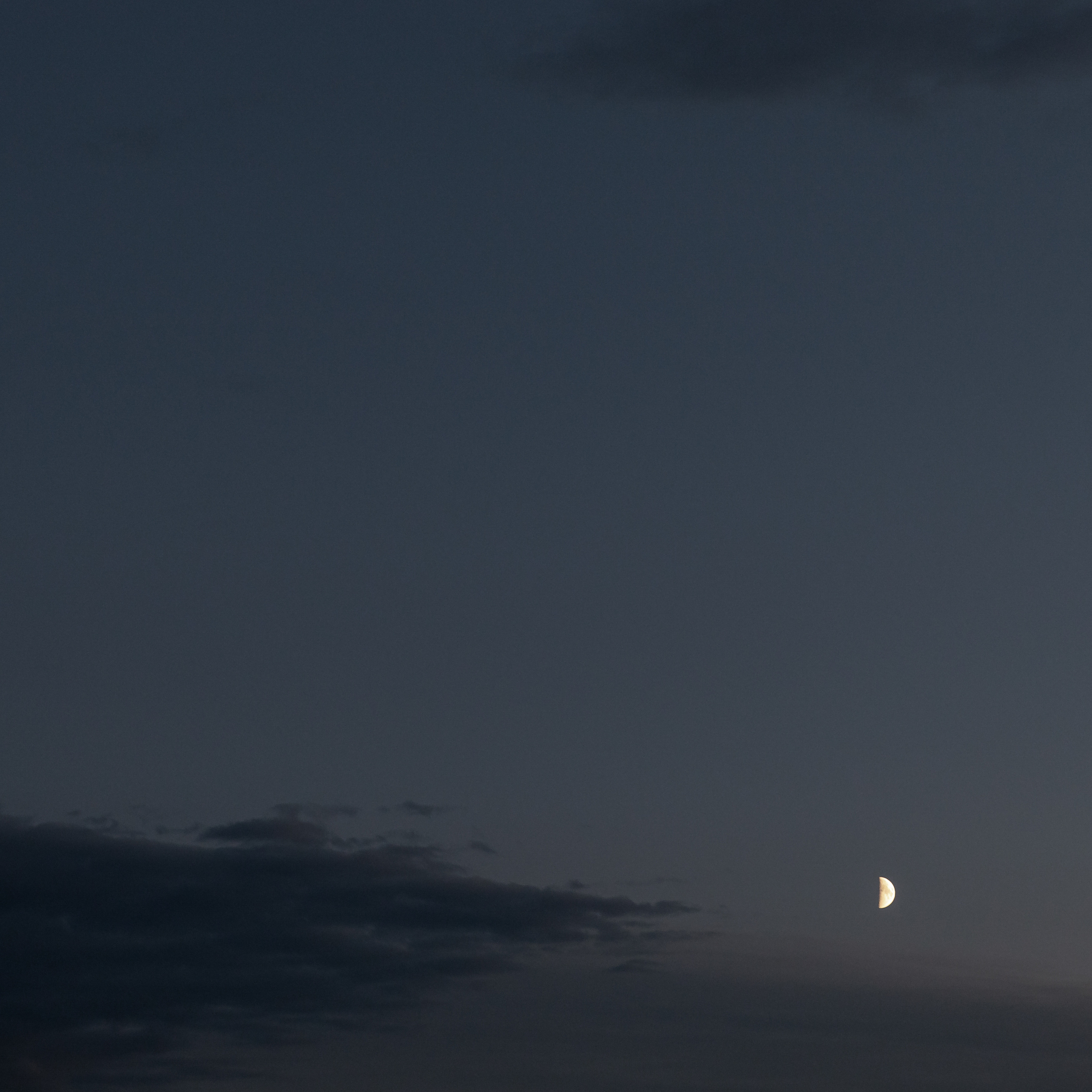Wedding day Дима и Лилия. Свадебный фотограф Колесников Антон
