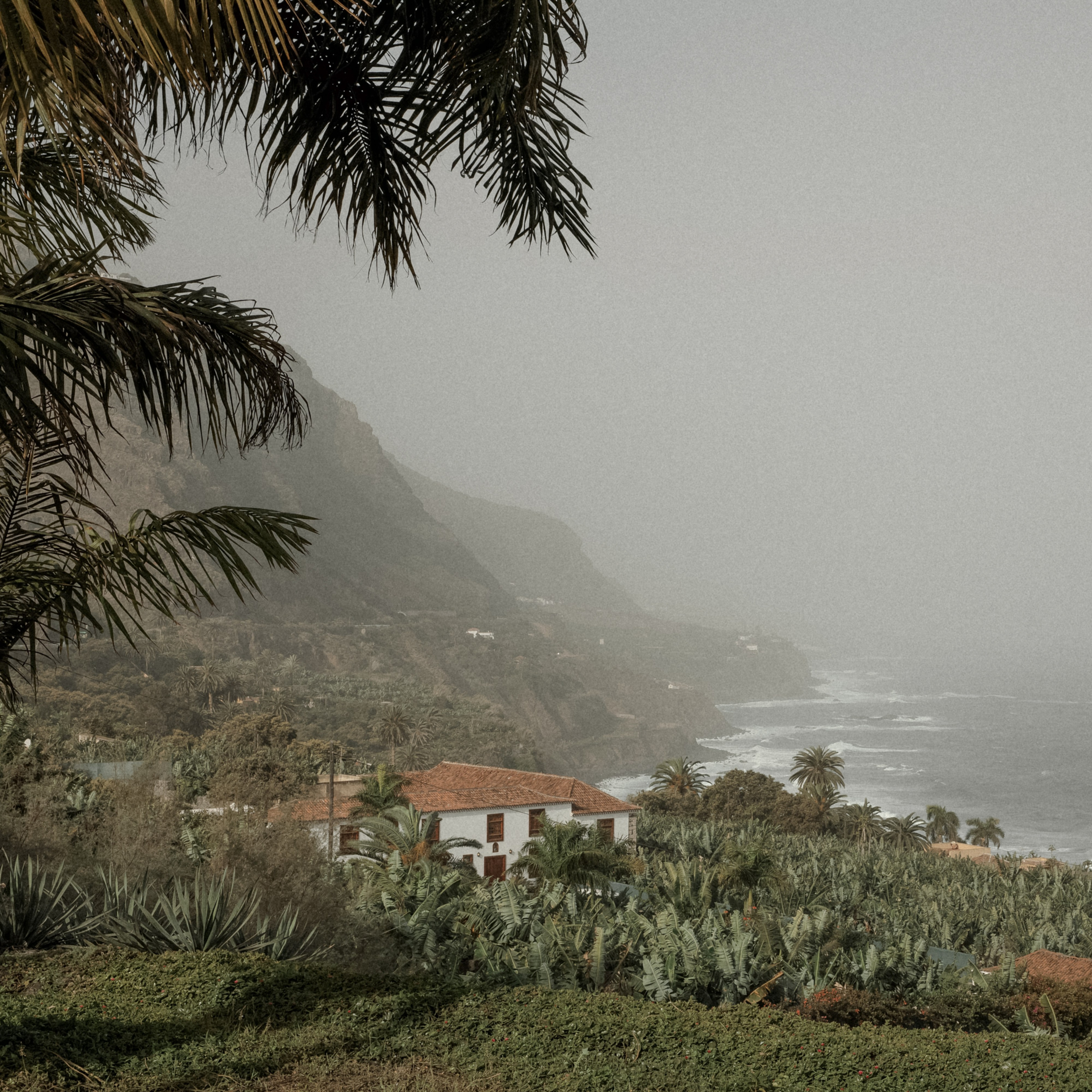 Там где нас не будут искать. Свадебный фотограф Колесников Антон