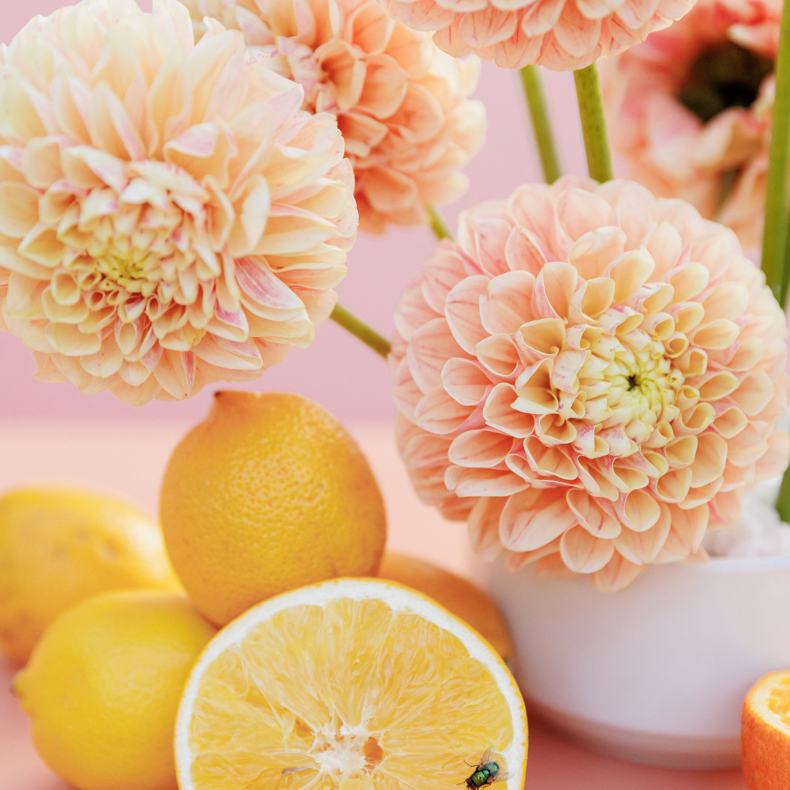 Анонс Wedding day N&P. Свадебный фотограф Колесников Антон