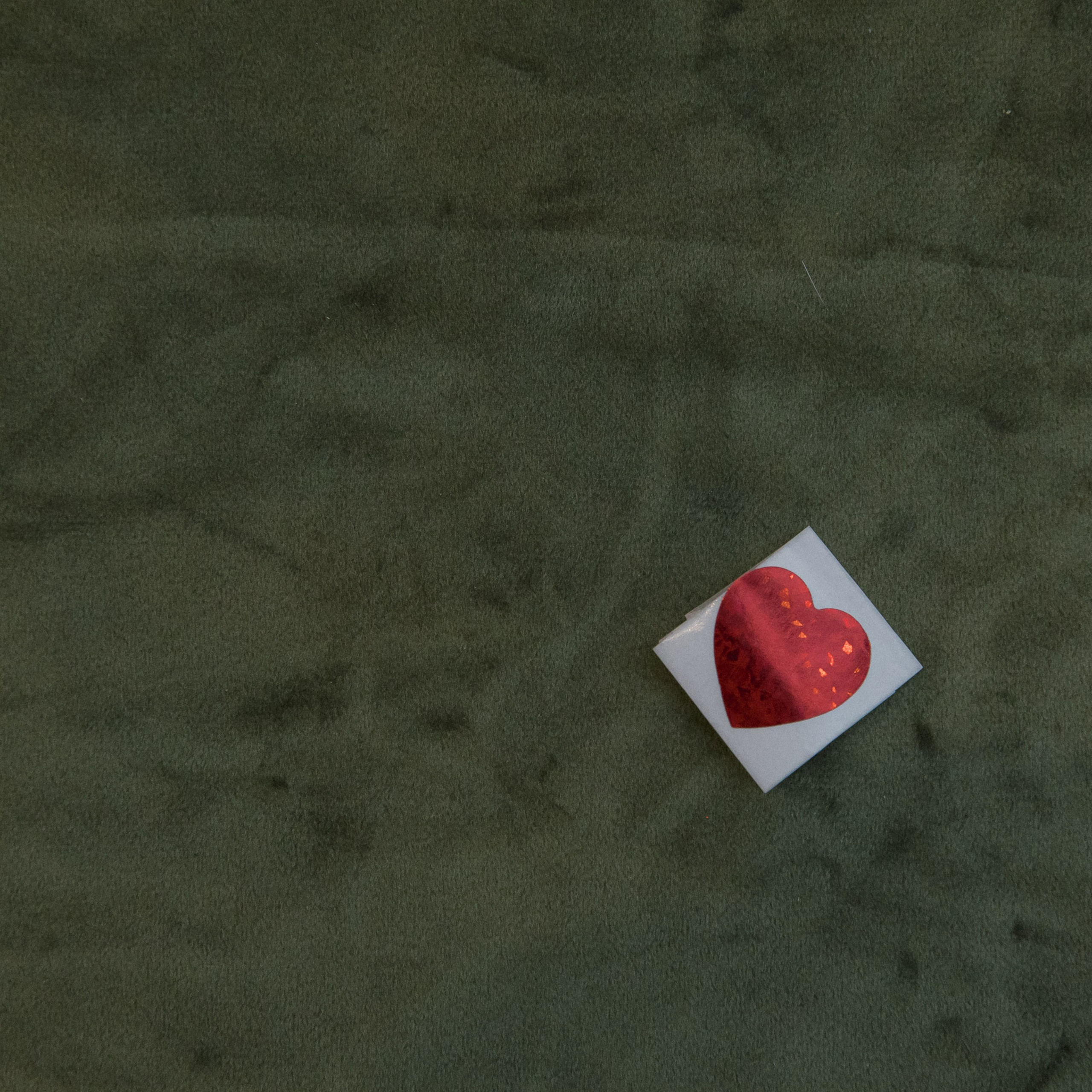 Вечеринка для невест 2025. Свадебный фотограф Колесников Антон