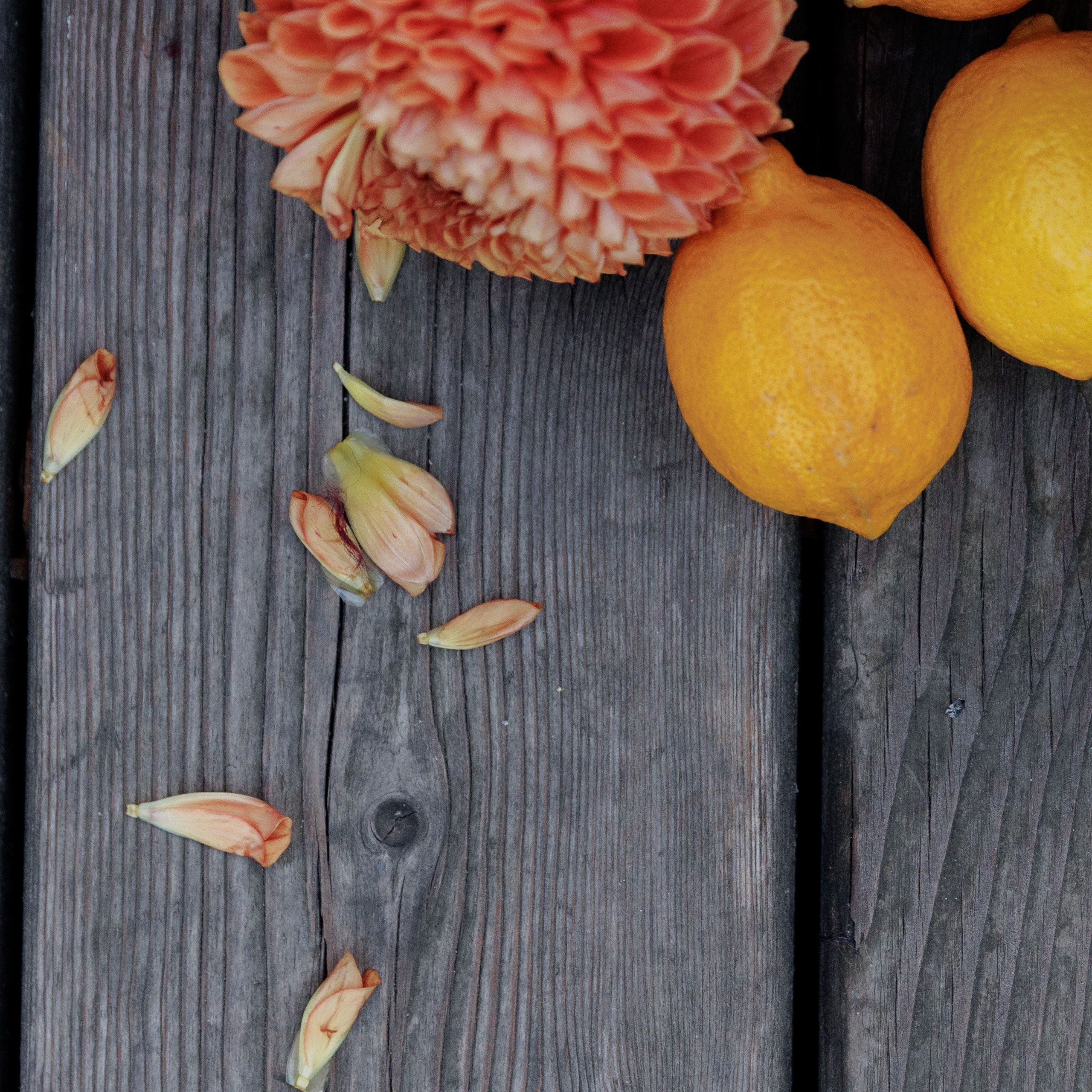 Анонс Wedding day N&P. Свадебный фотограф Колесников Антон