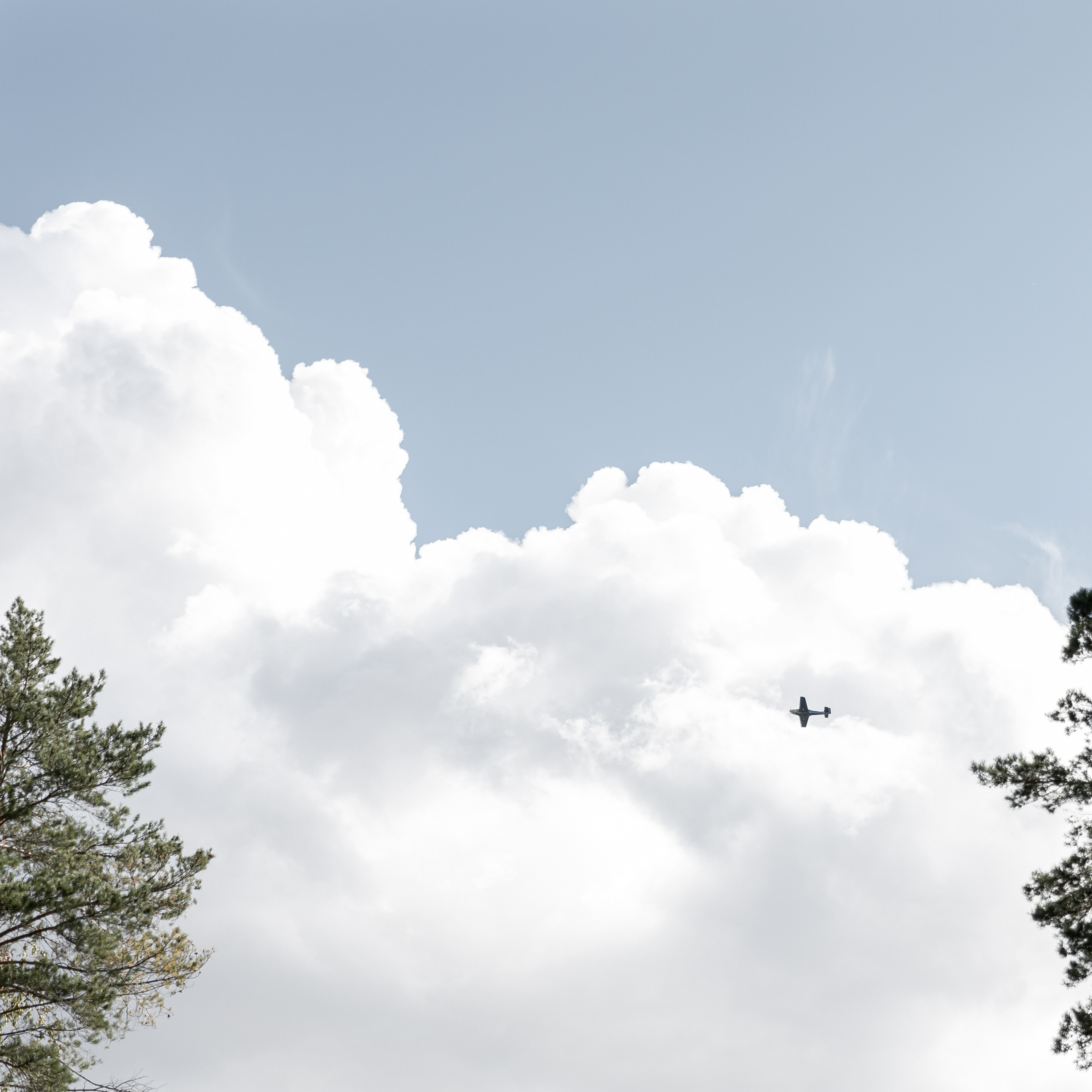 Wedding day Дима и Лилия. Свадебный фотограф Колесников Антон