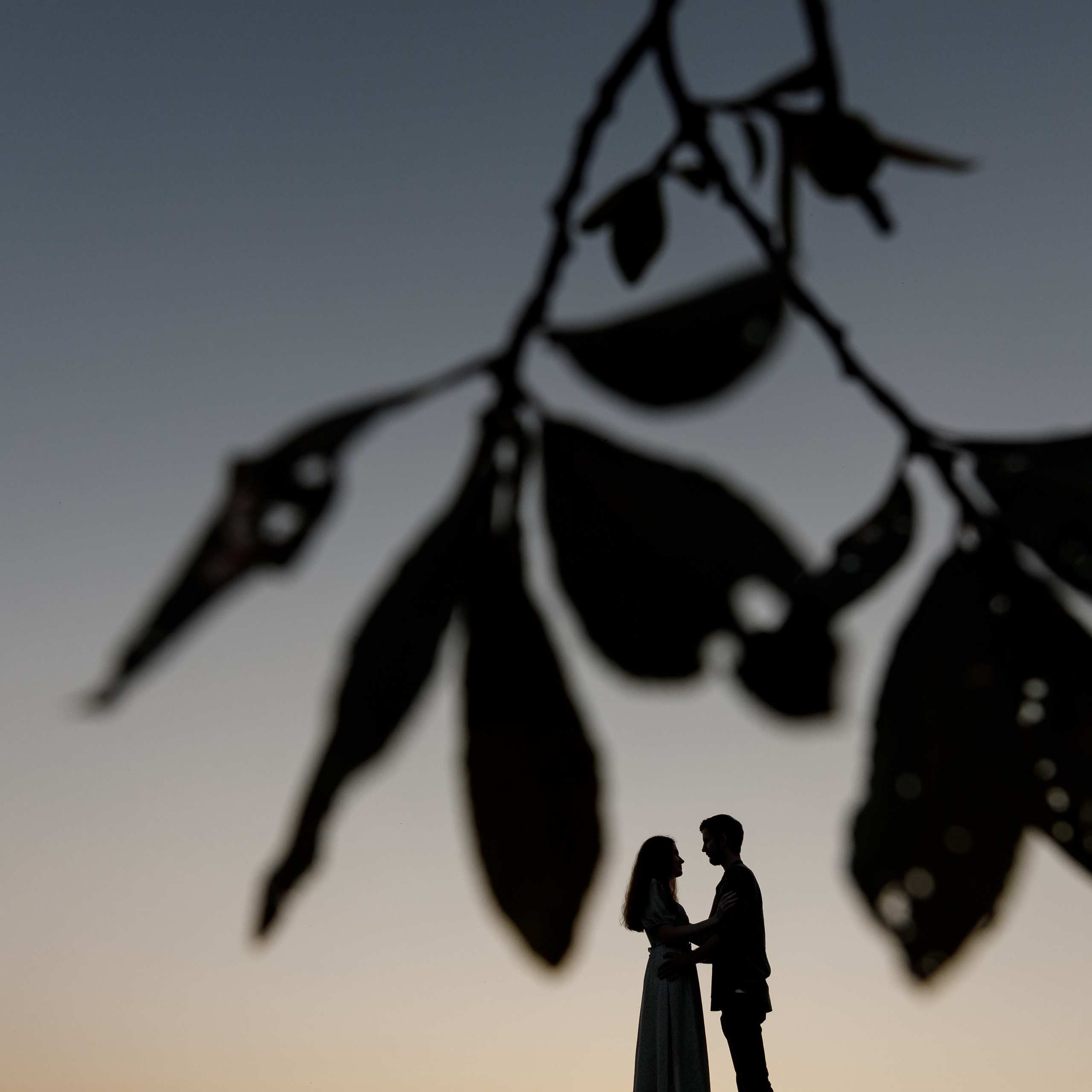 Калуга фотограф на свадьбу. Свадебный фотограф Колесников Антон