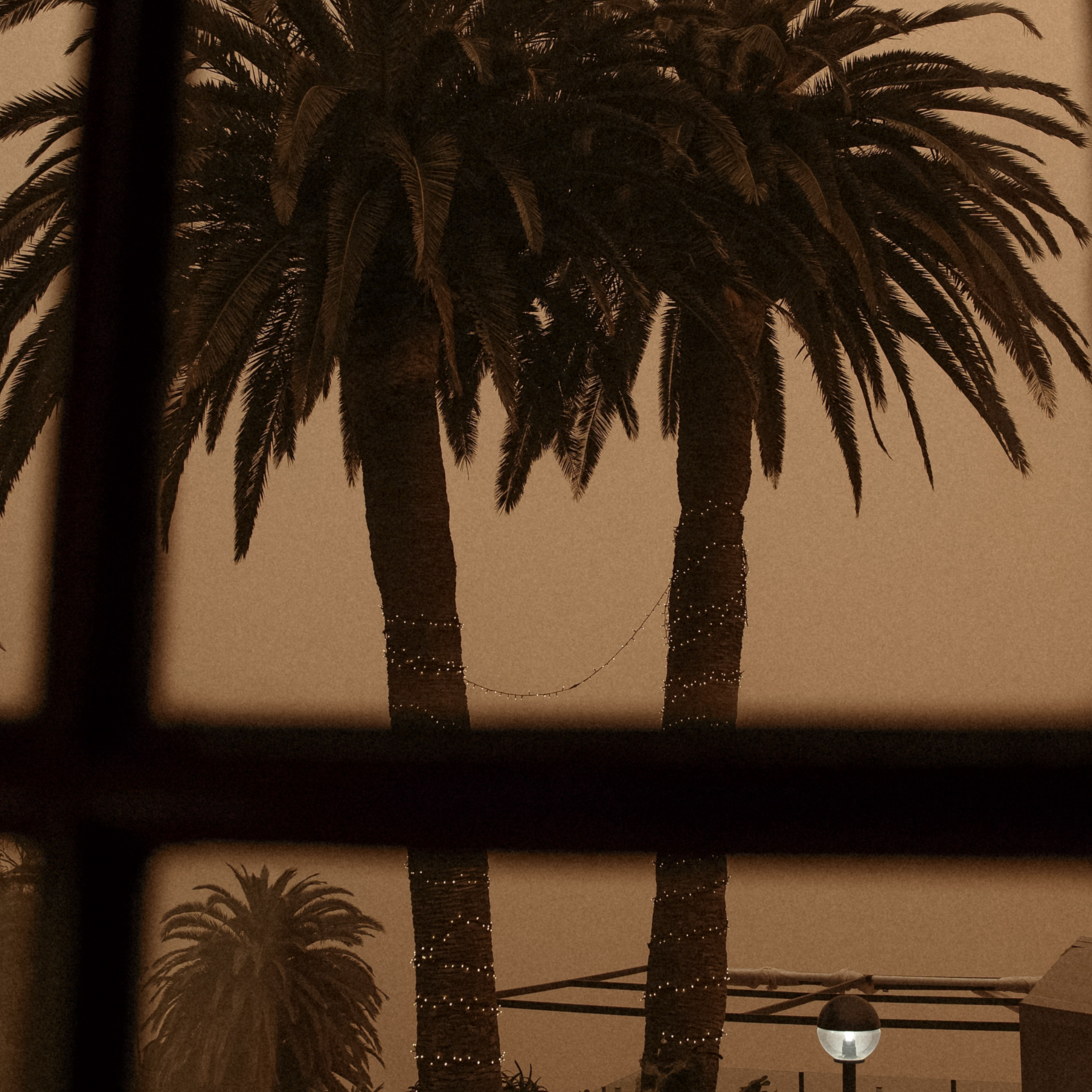 Там где нас не будут искать. Свадебный фотограф Колесников Антон