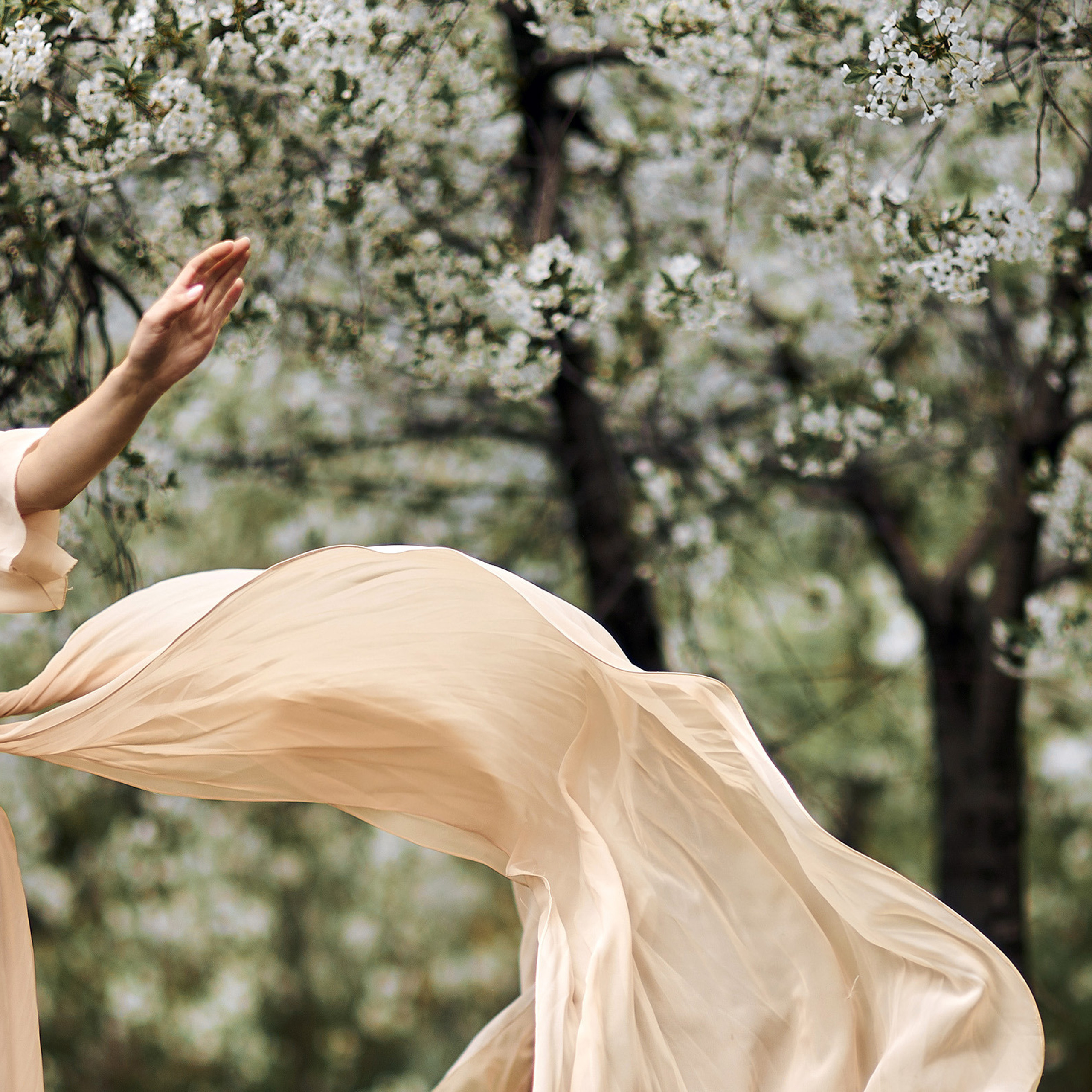 Отзывы. Фотограф Михаил Ефремов