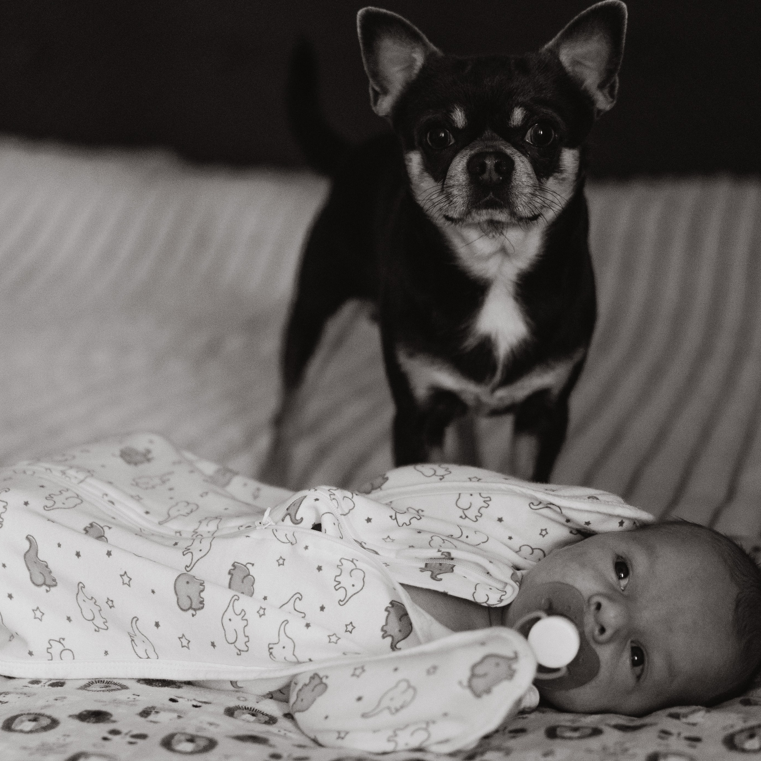 Марк в кругу семьи