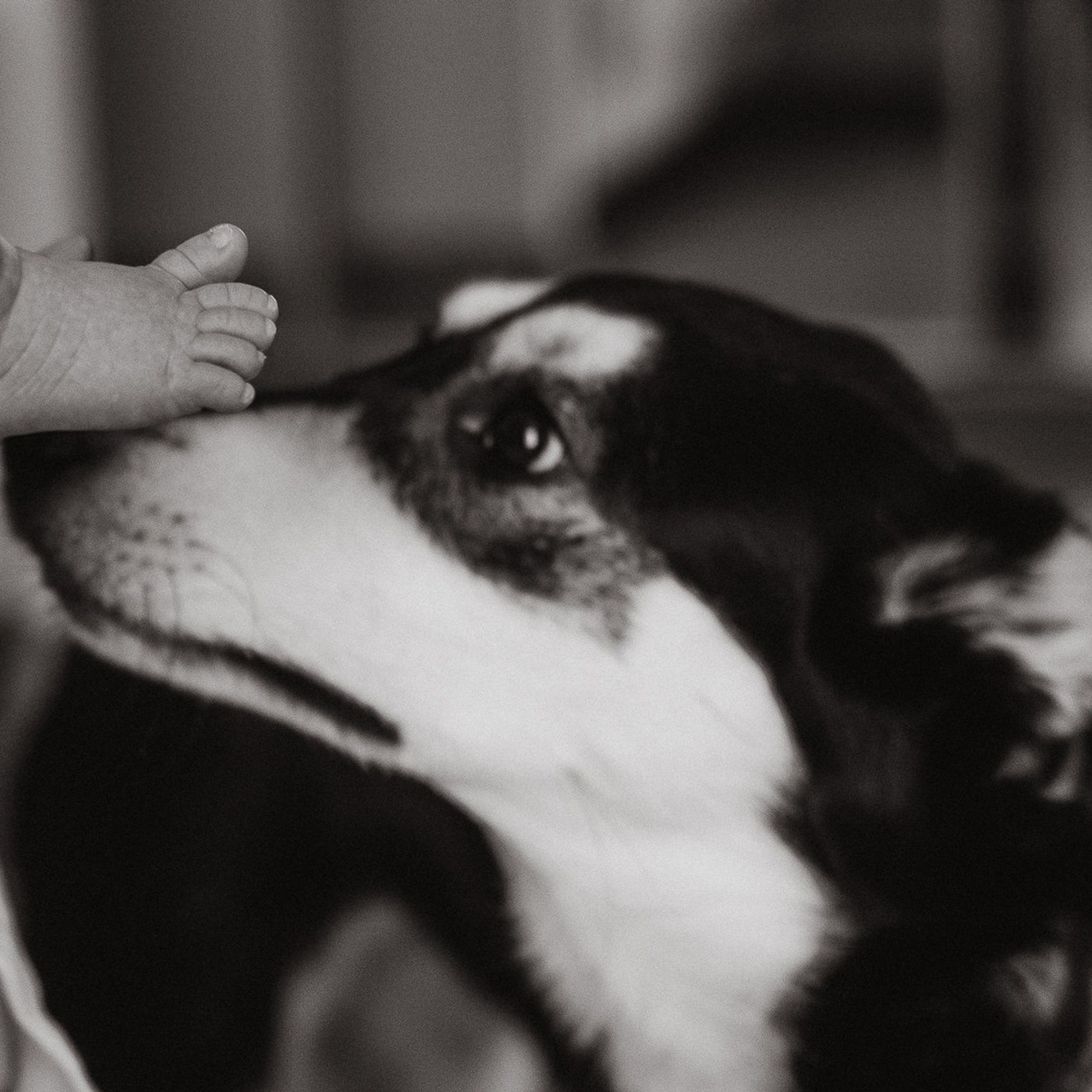 Тимофей в кругу семьи