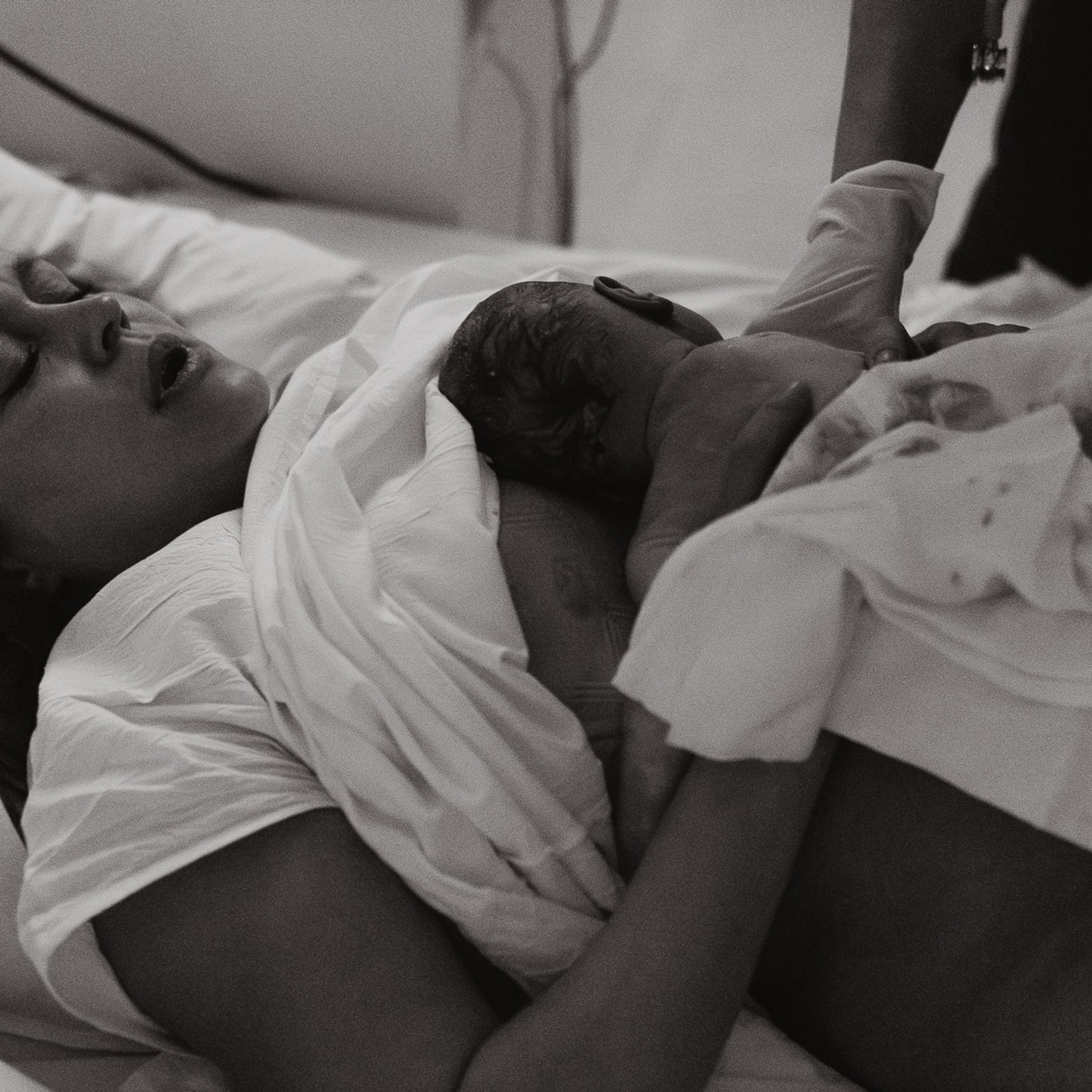 Рождение жизни