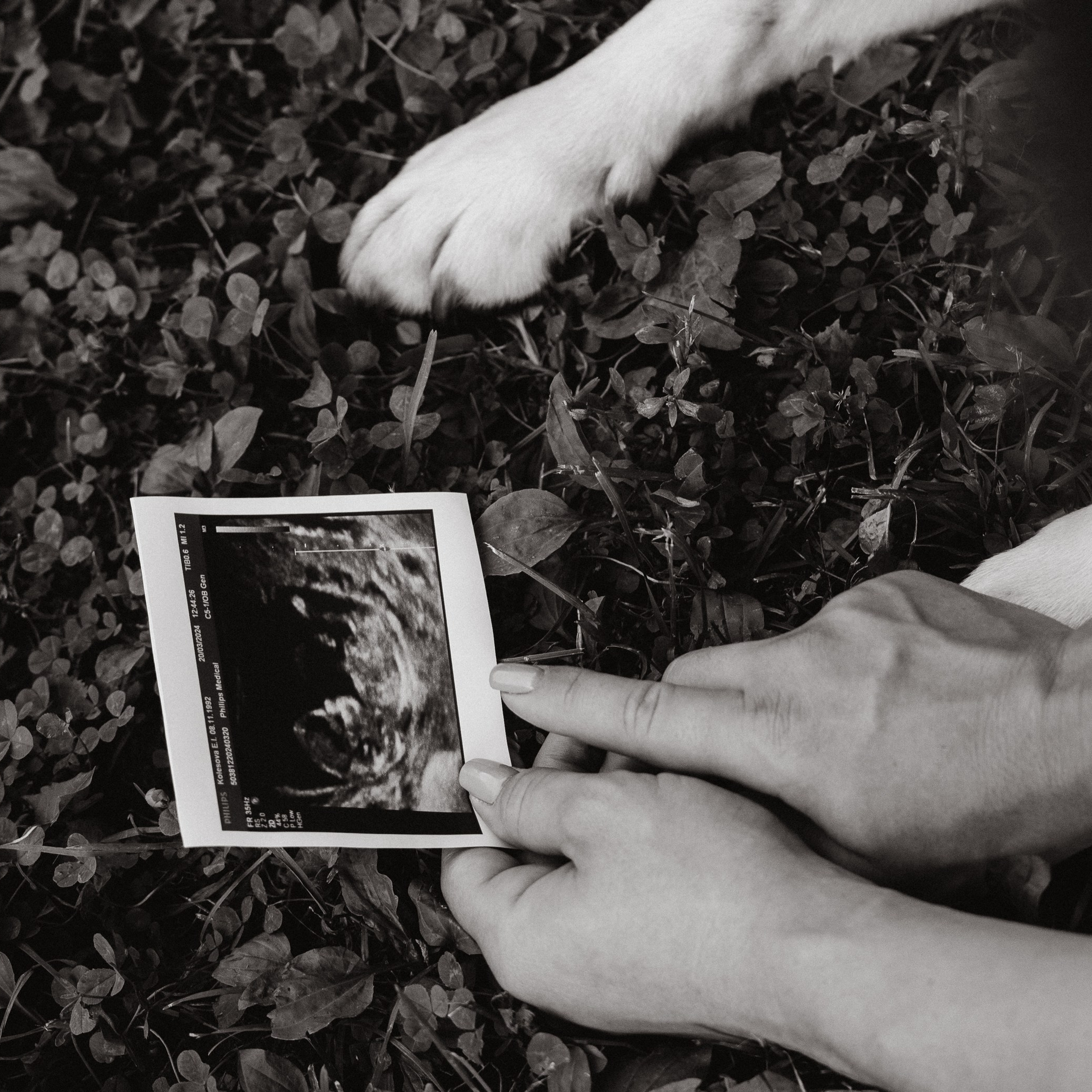 В ожидании нового члена семьи