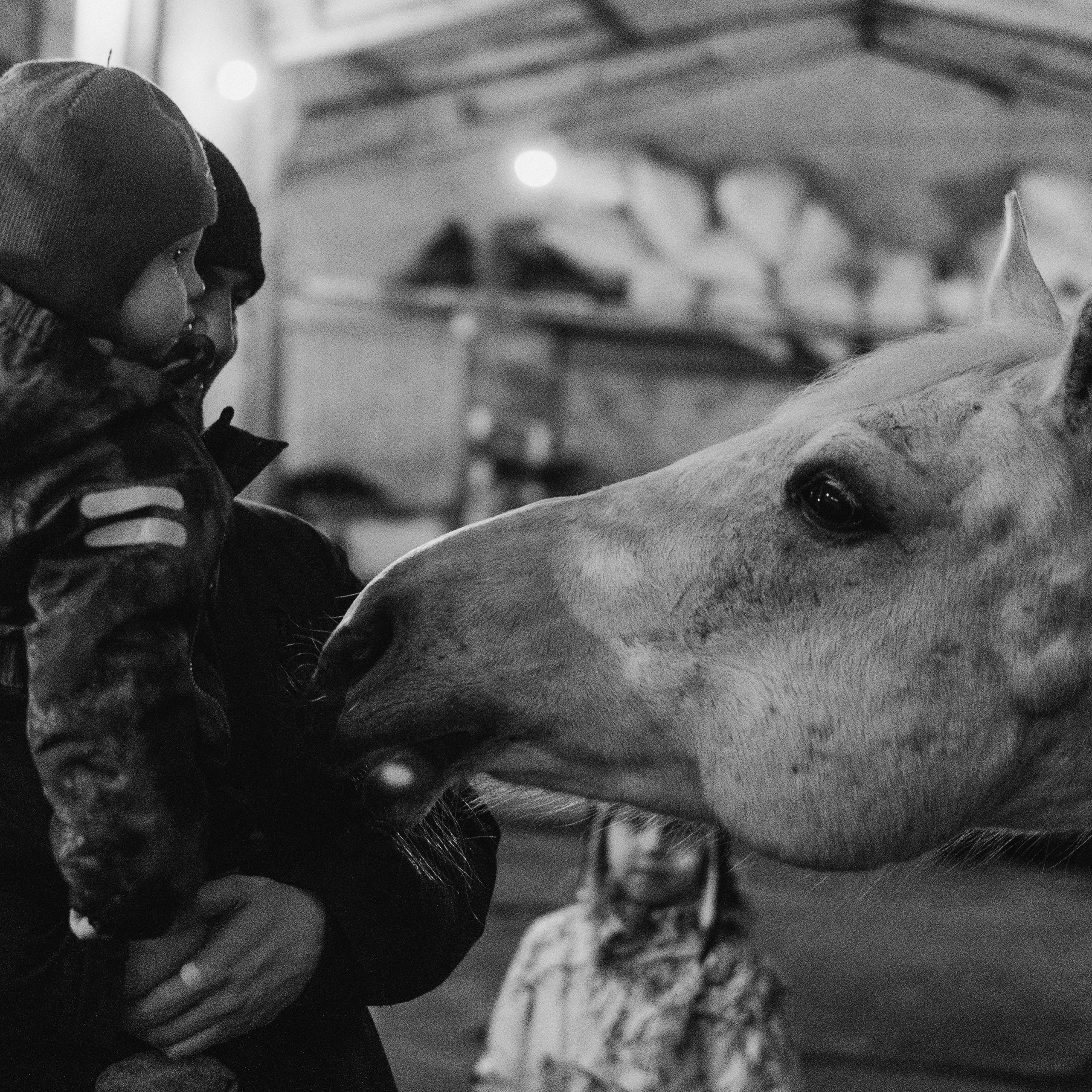 Выходной на конюшне