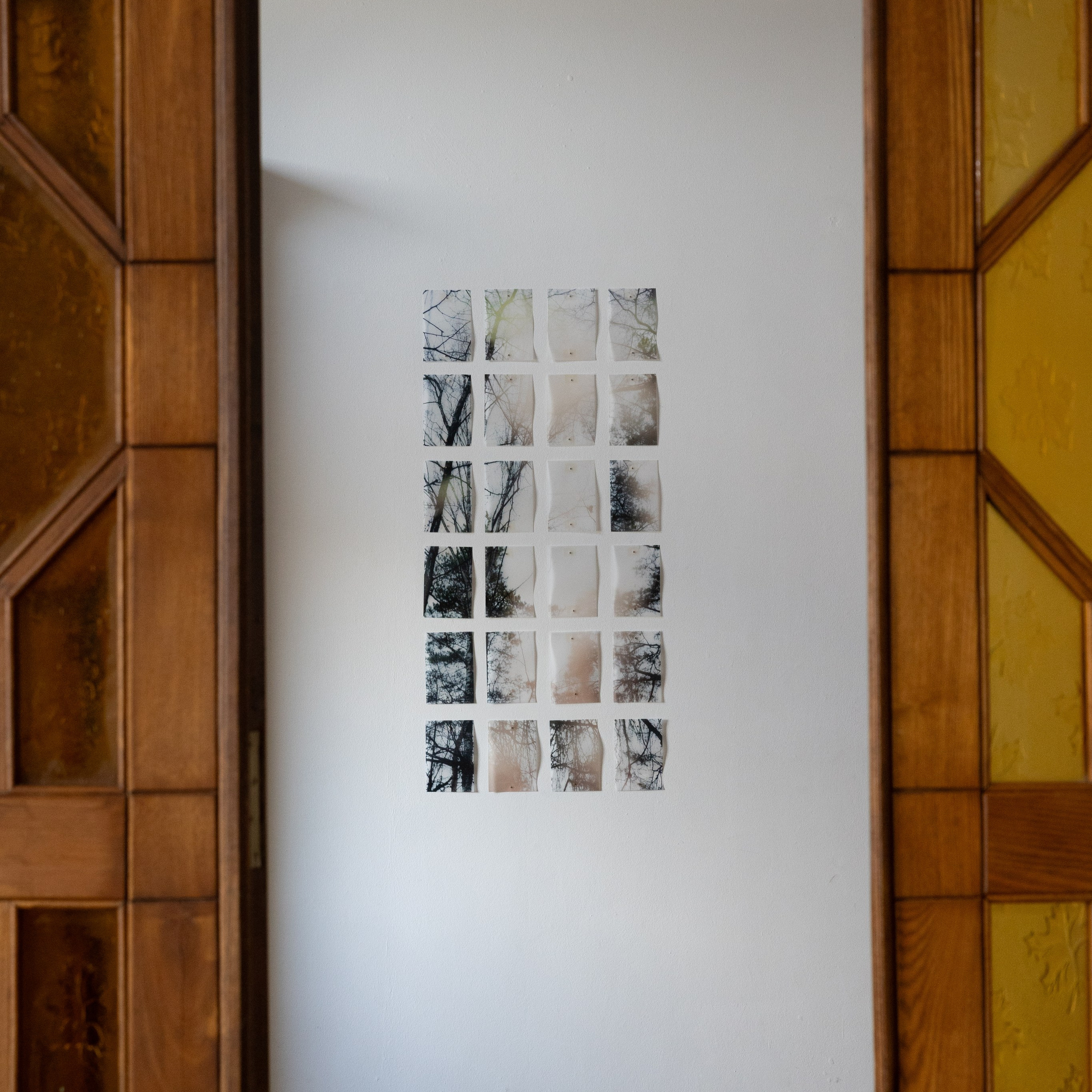 Personal exhibition Interior landscape 2025