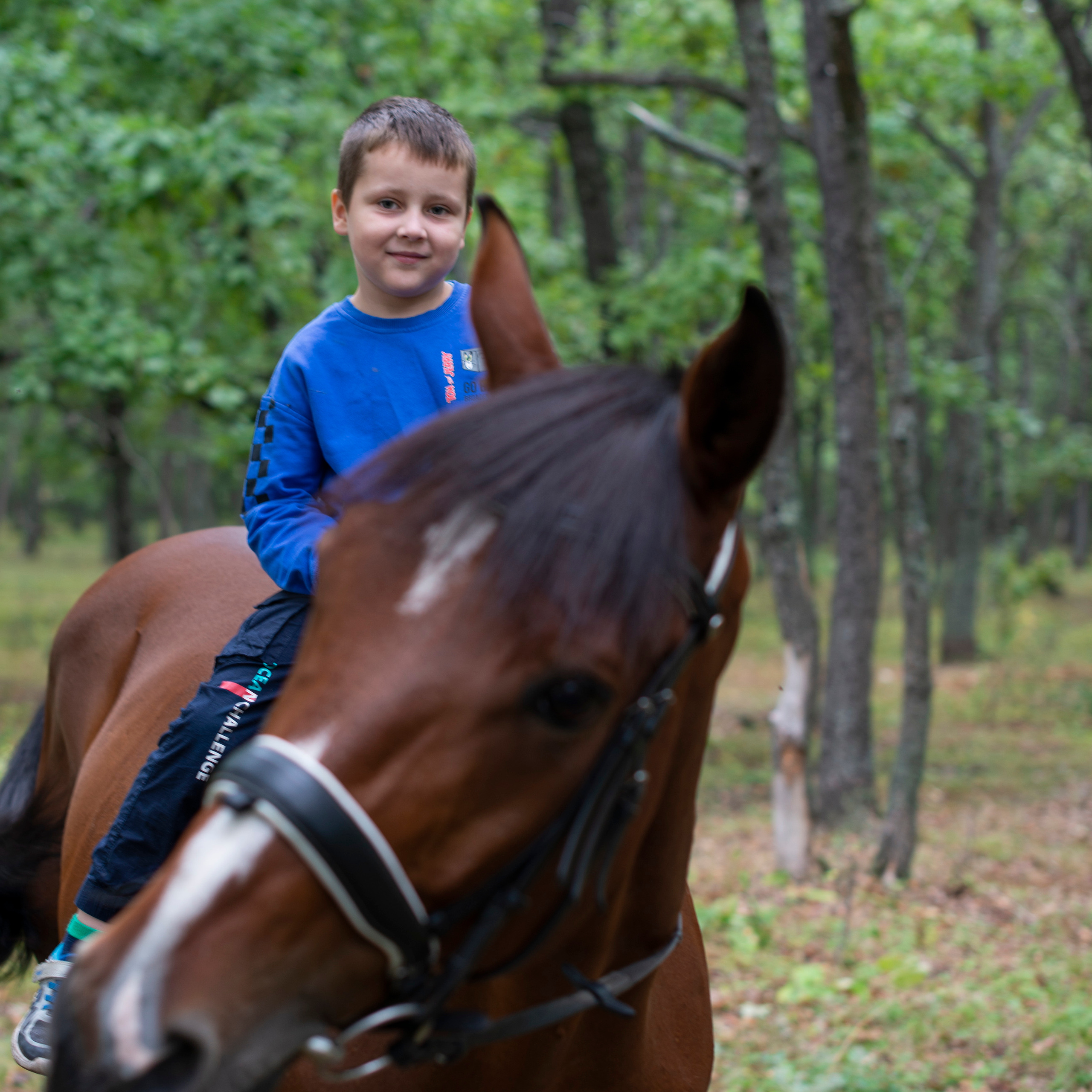 Отзывы. Конный фотограф в Саратове Юлия Иванова