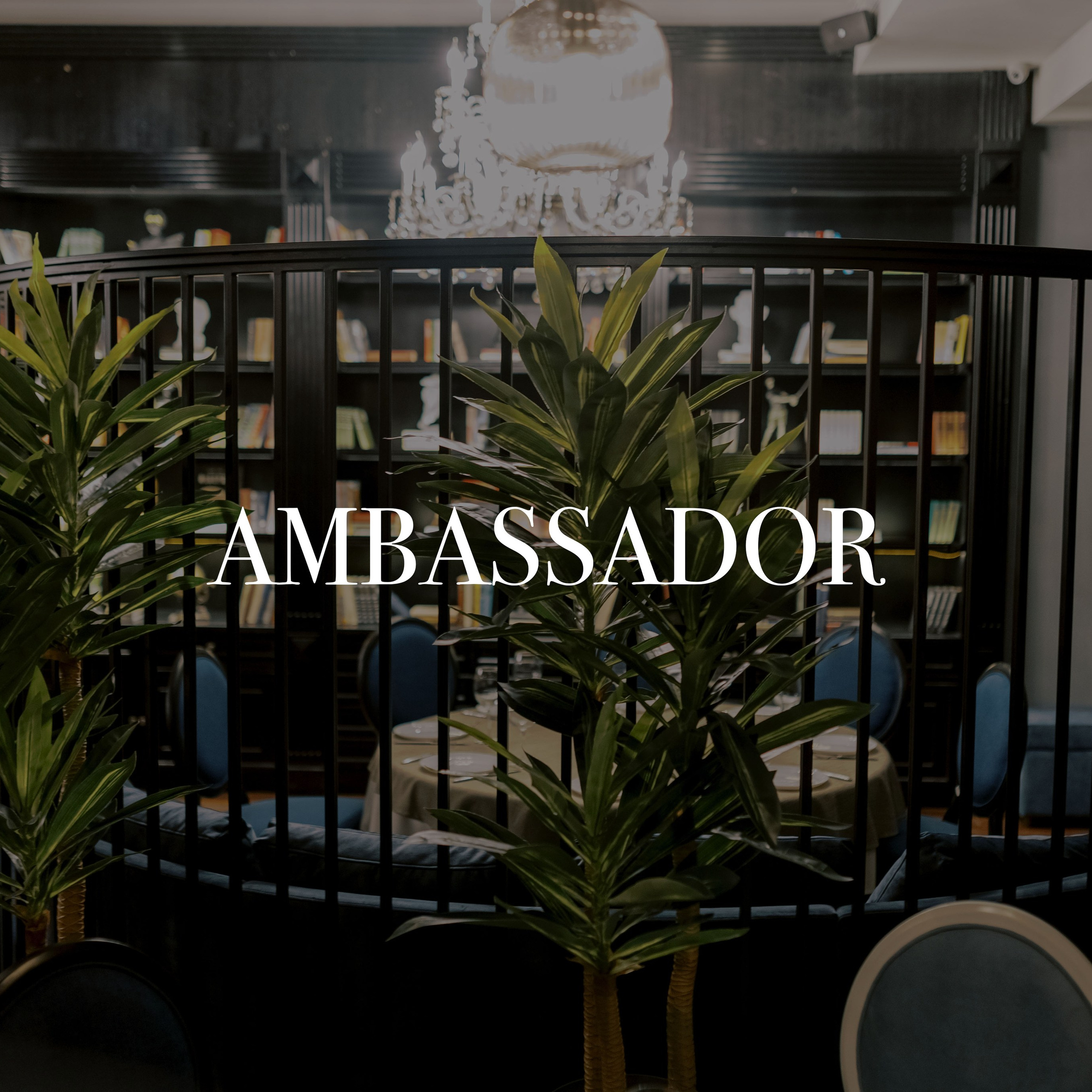 Ambassador