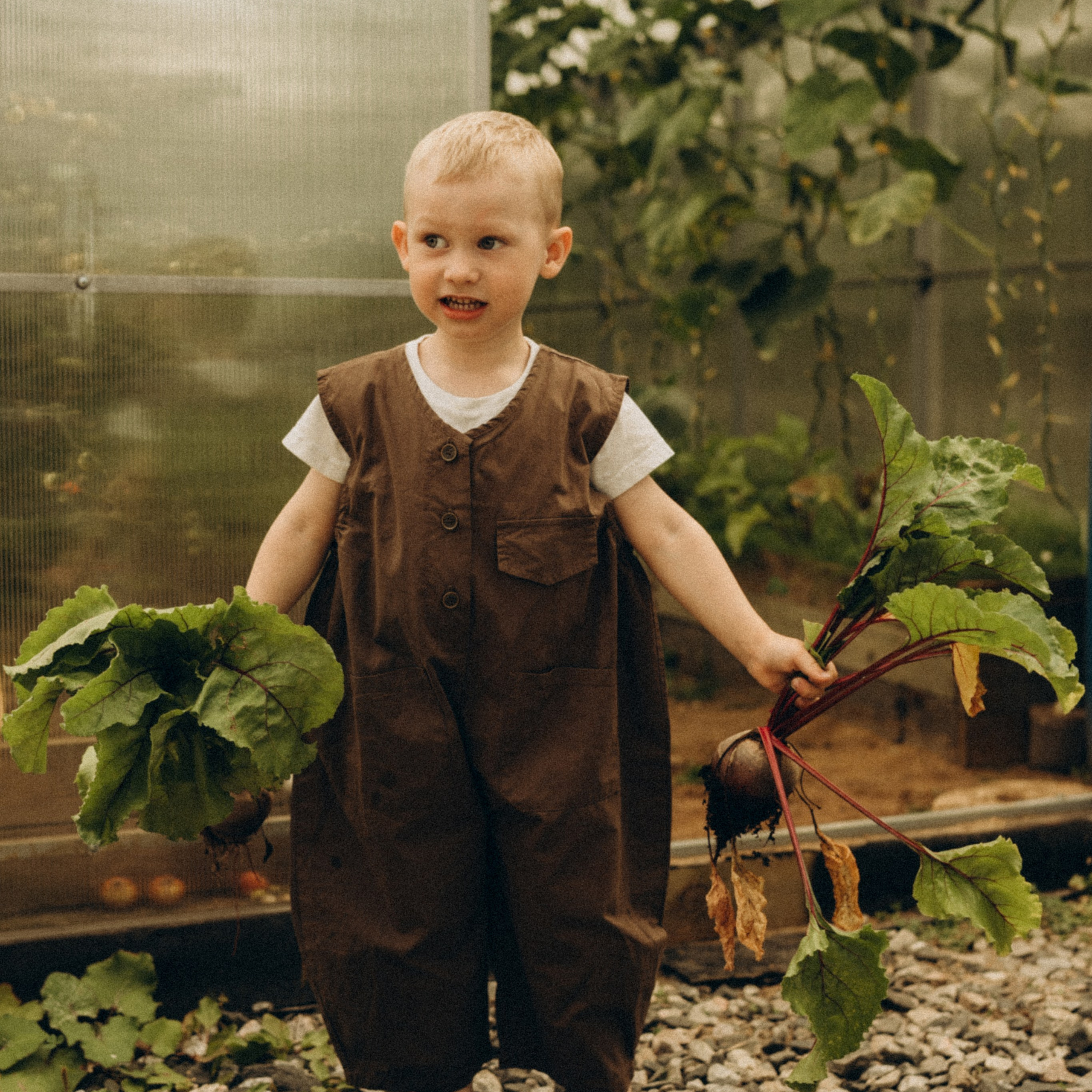 Про домашний уют на севера