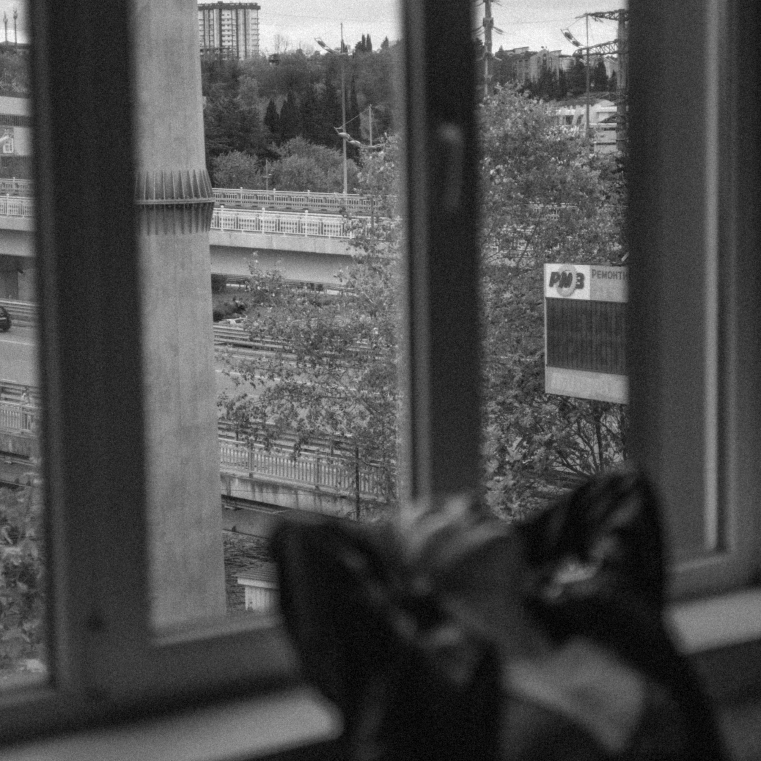 12. Александра Негальчук