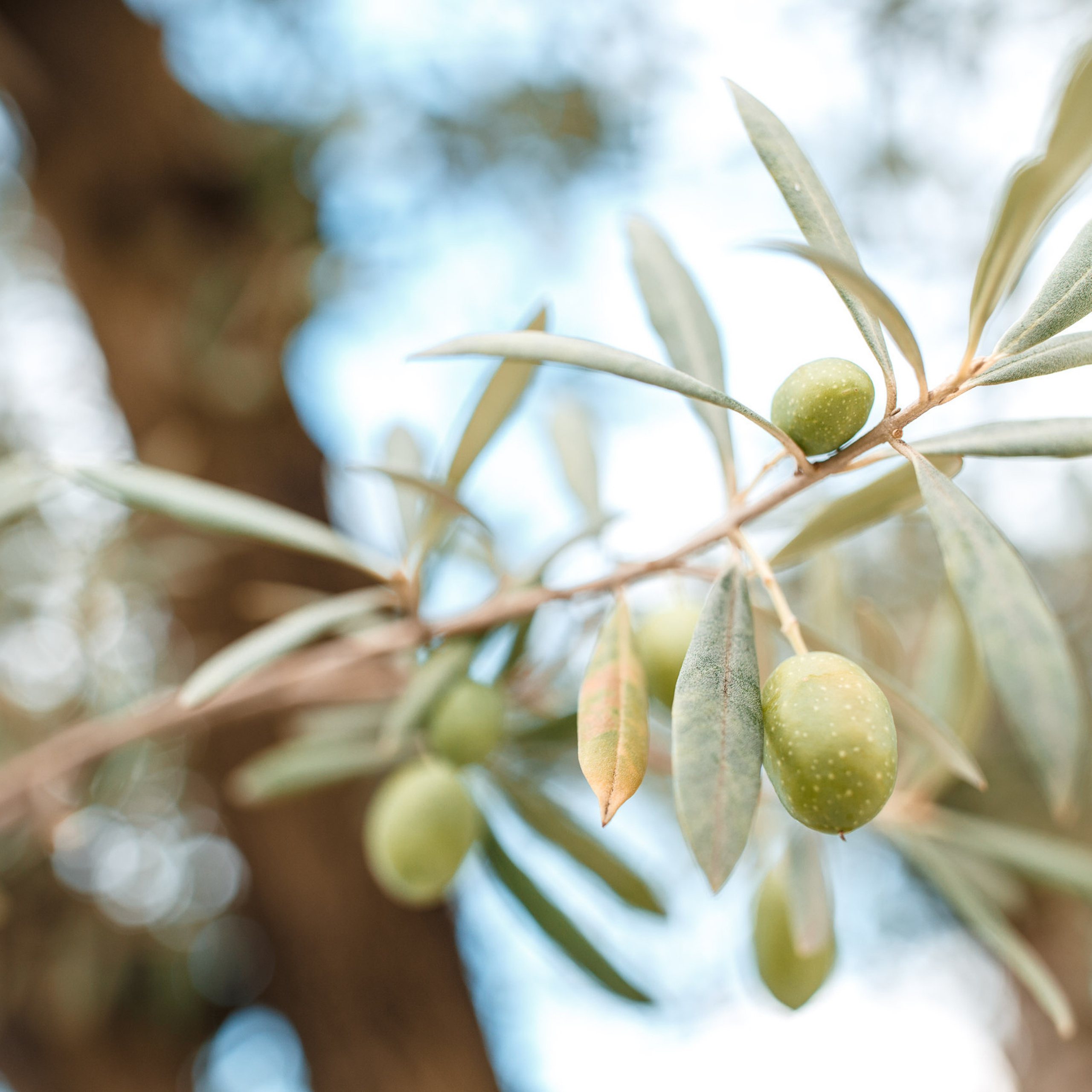 Отзывы. Сергей Ветер, фотограф в Краснодаре