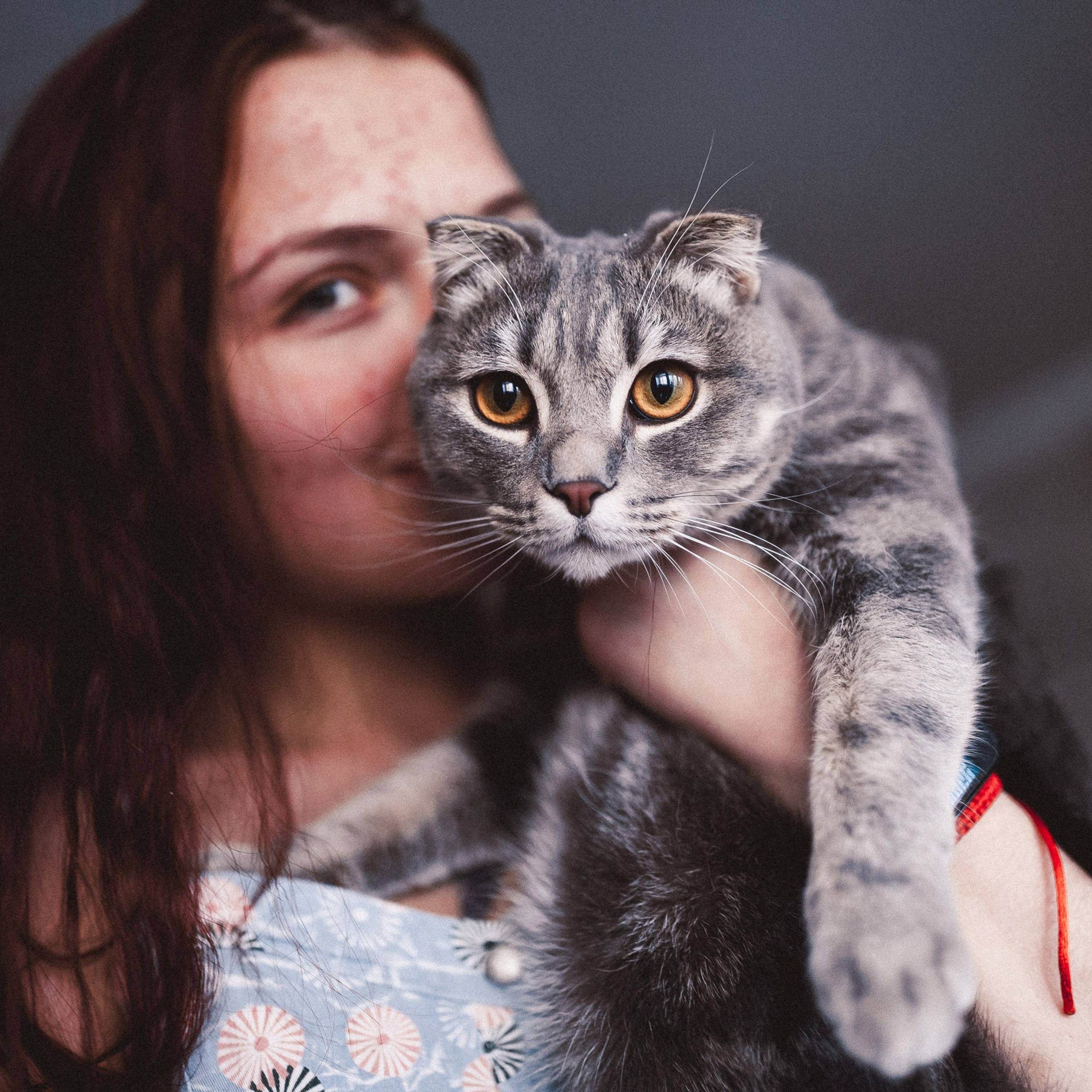 Ещё про любовь в кошкам