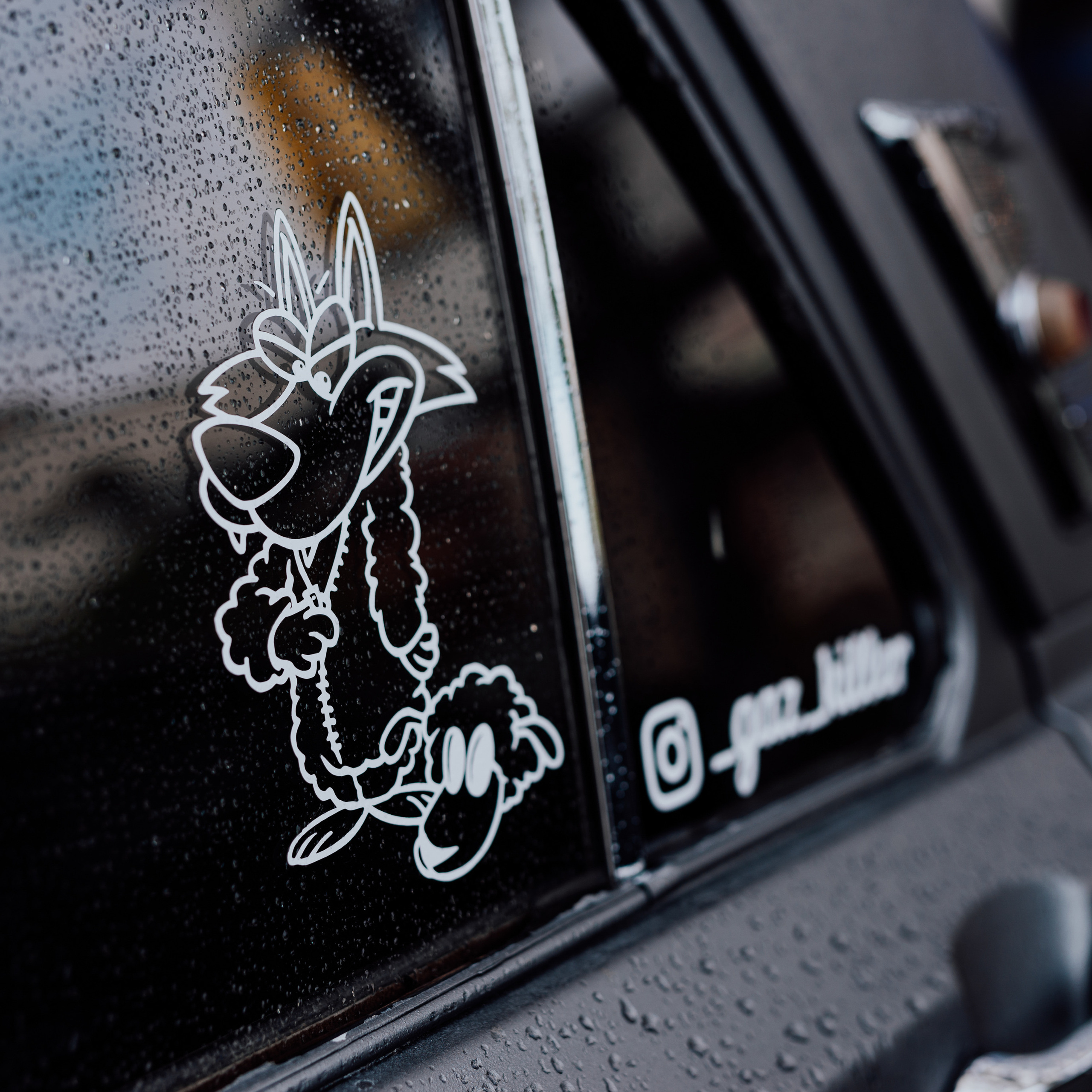 Отзывы. Фотограф в Санкт-Петербурге и Ленинградской области