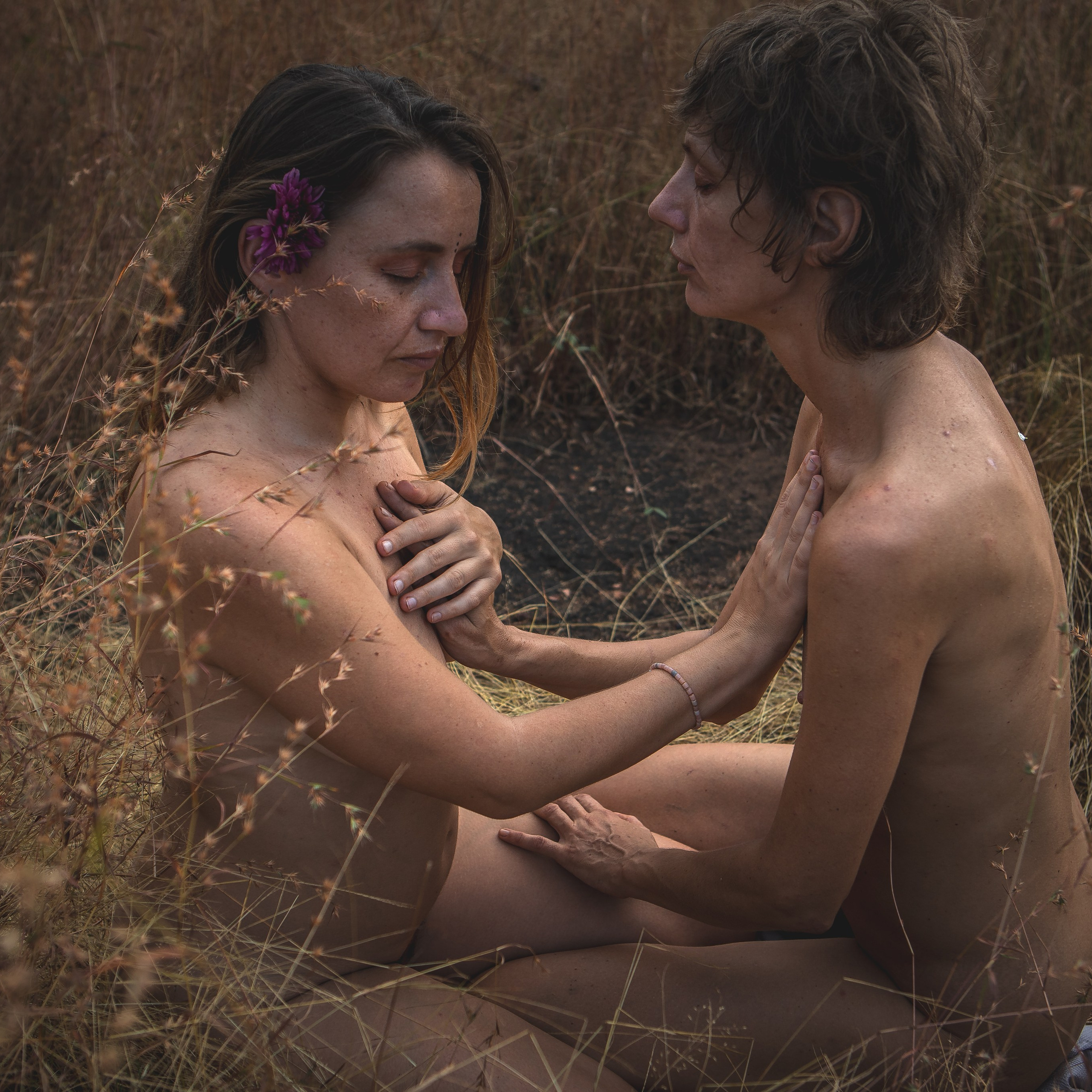 СЕСТРЕНСТВО