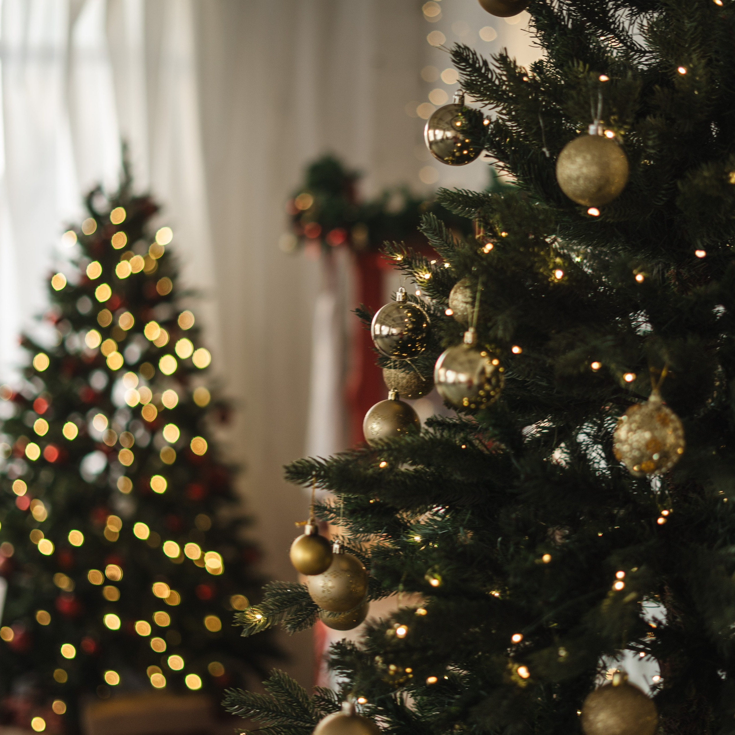 Фотостудия в Саратове. Фотостудия в Саратове. Фотограф в Саратове