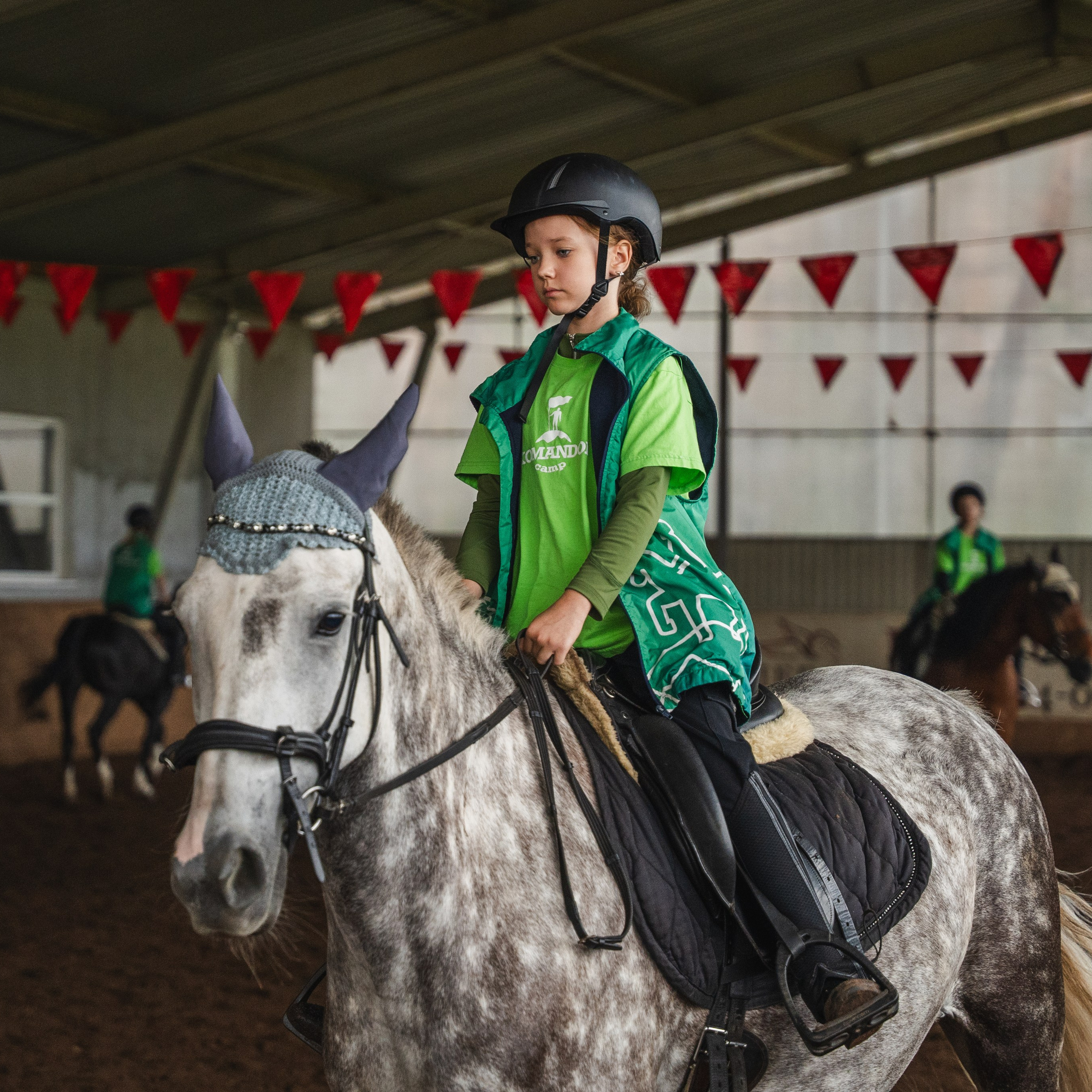 Конное занятие