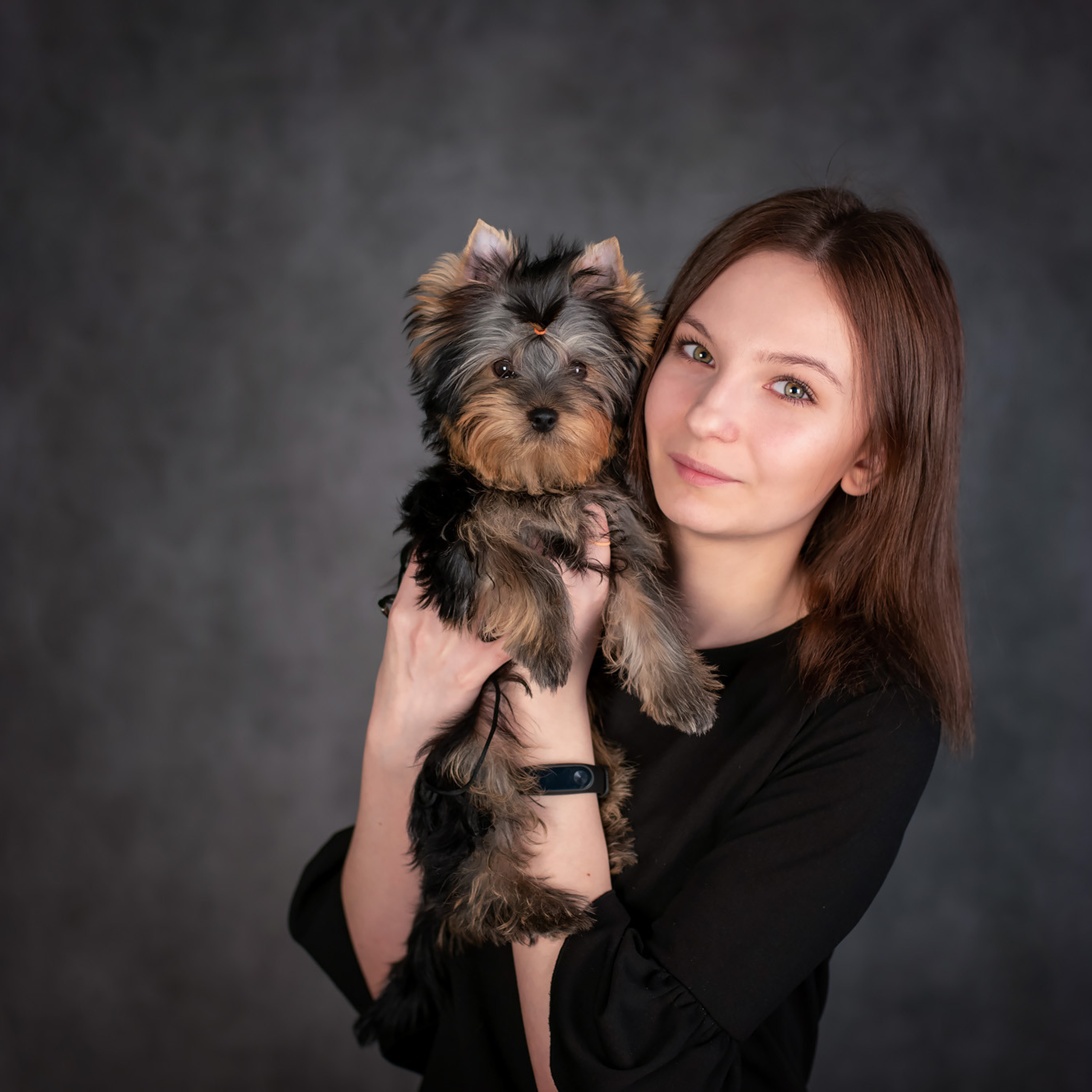 Студийная съемка собаки. Семьи, дети, сады, школы. Фотограф Первенцева Елена. Москва