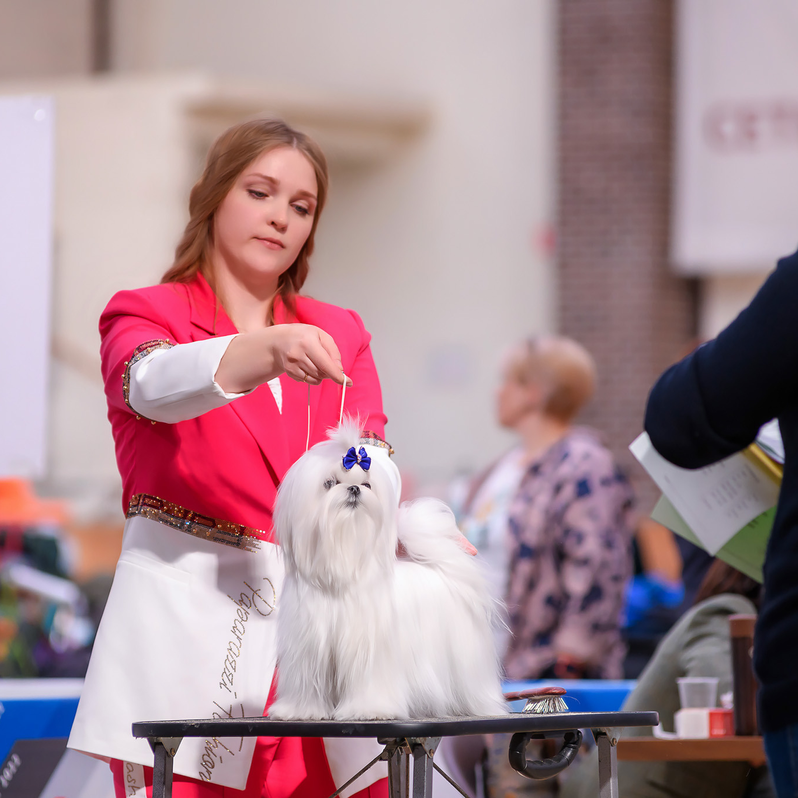 Репортажная съемка на выставке собак. Семьи, дети, сады, школы. Фотограф Первенцева Елена. Москва