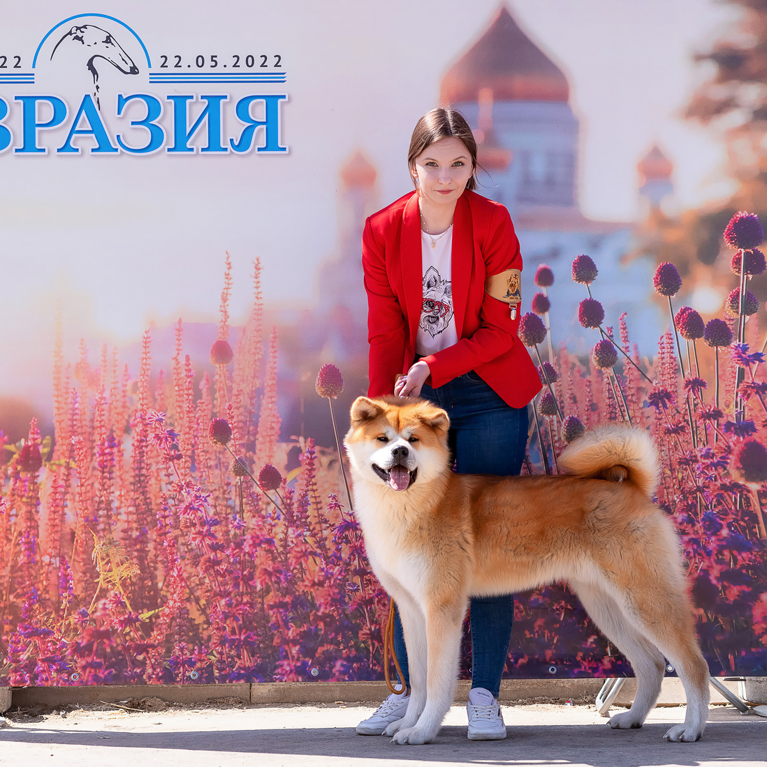 Репортажная съемка на выставке собак. Семьи, дети, сады, школы. Фотограф Первенцева Елена. Москва