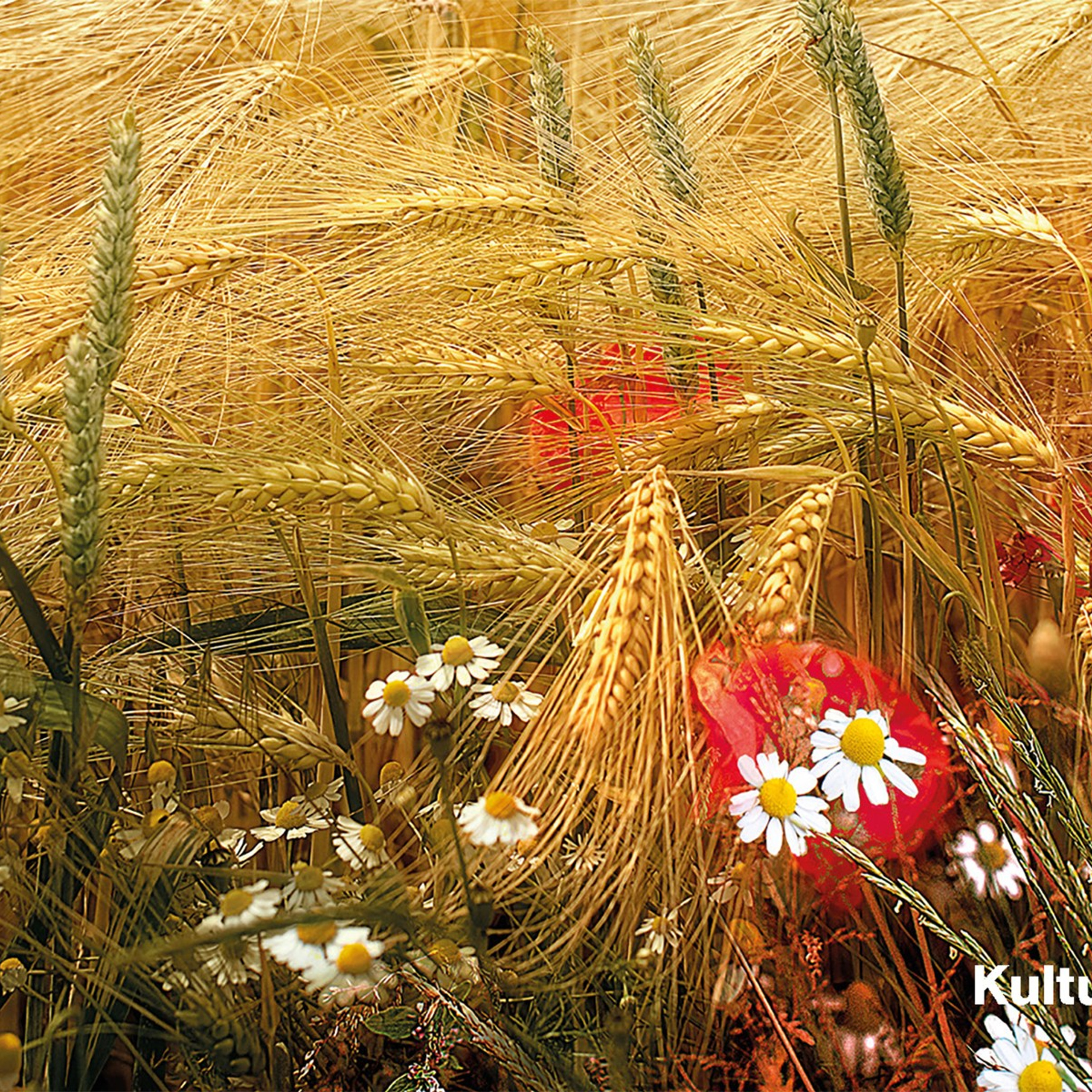 Teilnahme am 4. Athens International Black & White Photography Festival. Vasiliy Riabovol – Fine Art Photography | Zeit, Raum und Stille