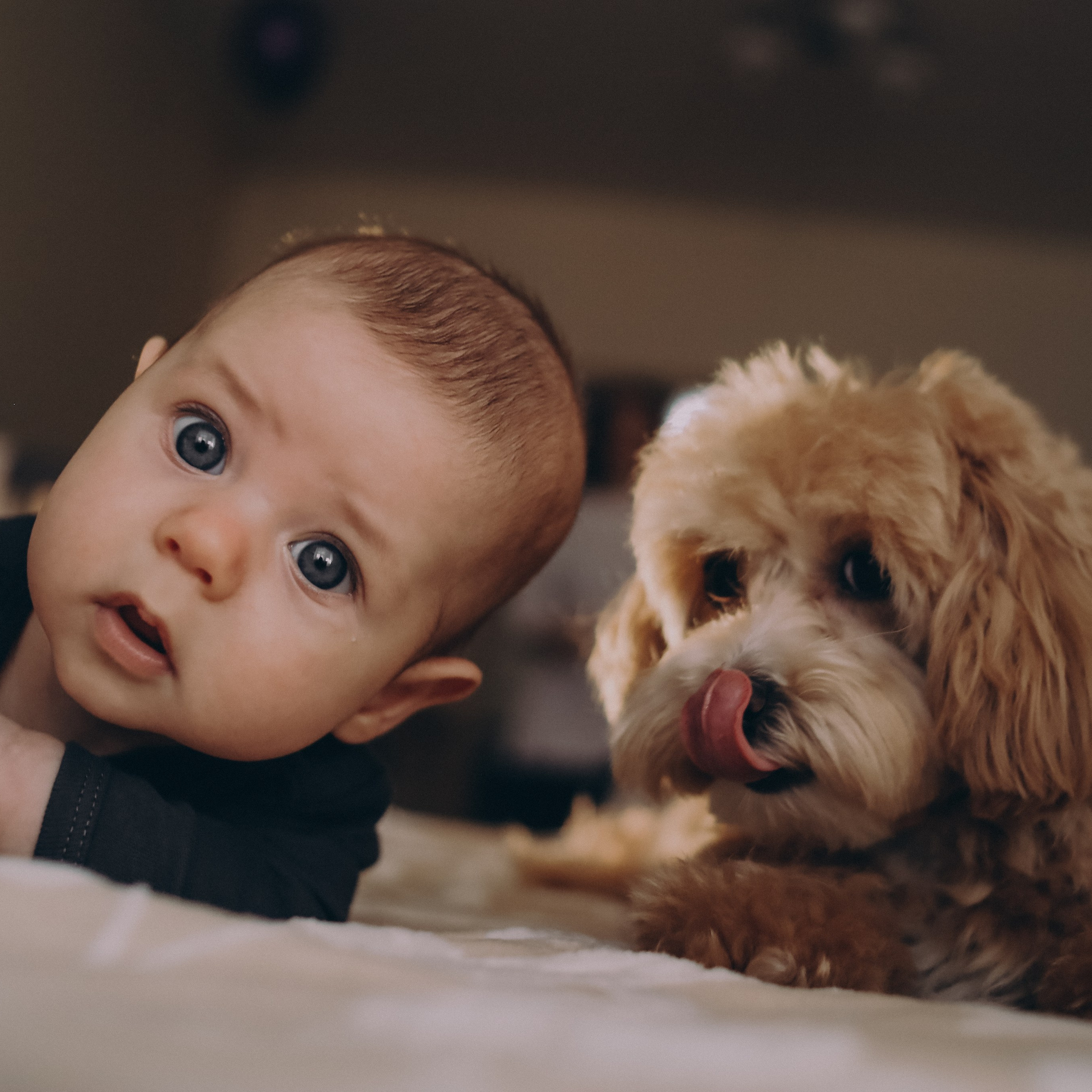 Мама, папа, я и 2 хвоста