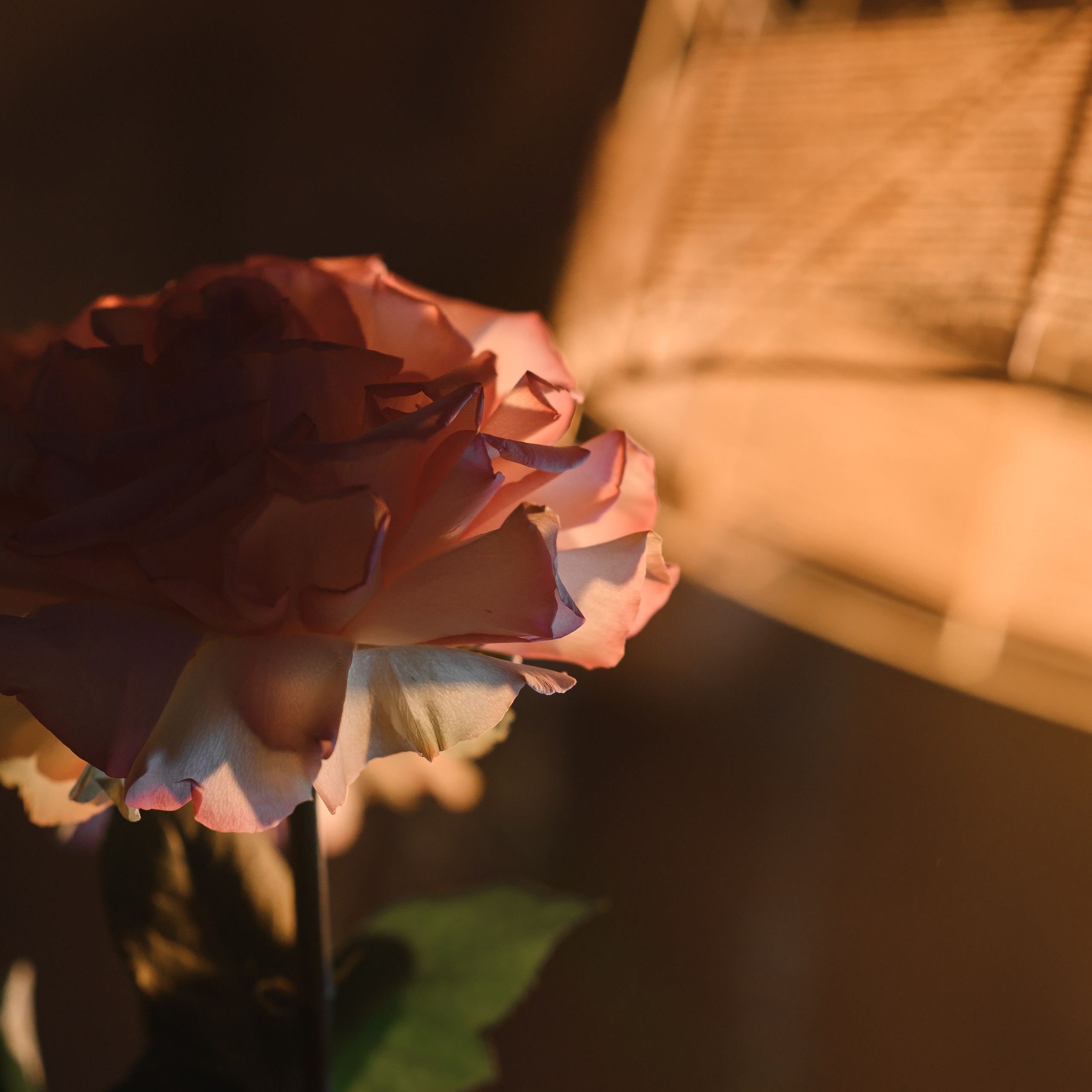 Отзывы. Профессиональный репортажный, коммерческий фотограф в Санкт-Петербурге