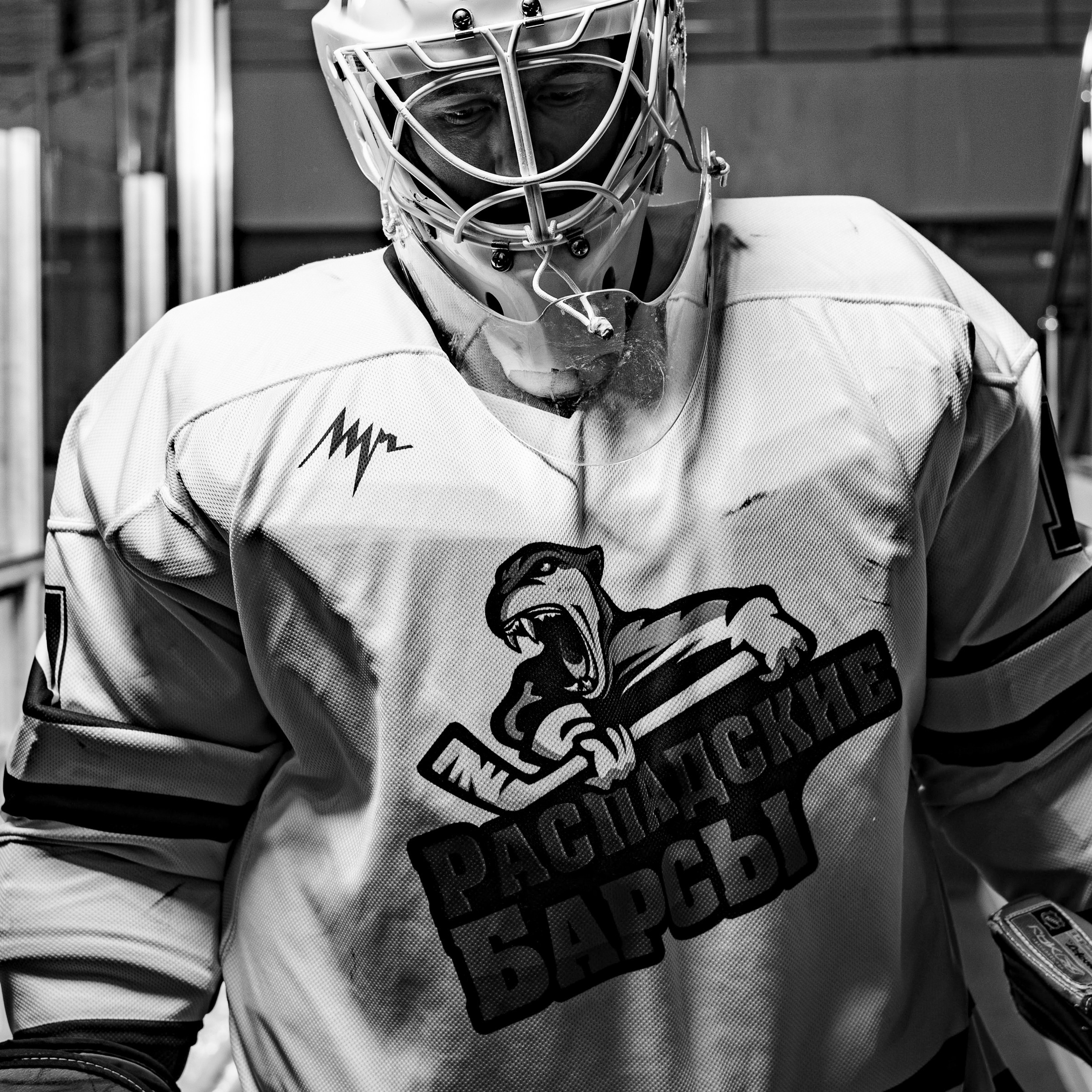 ХК Распадские Барсы